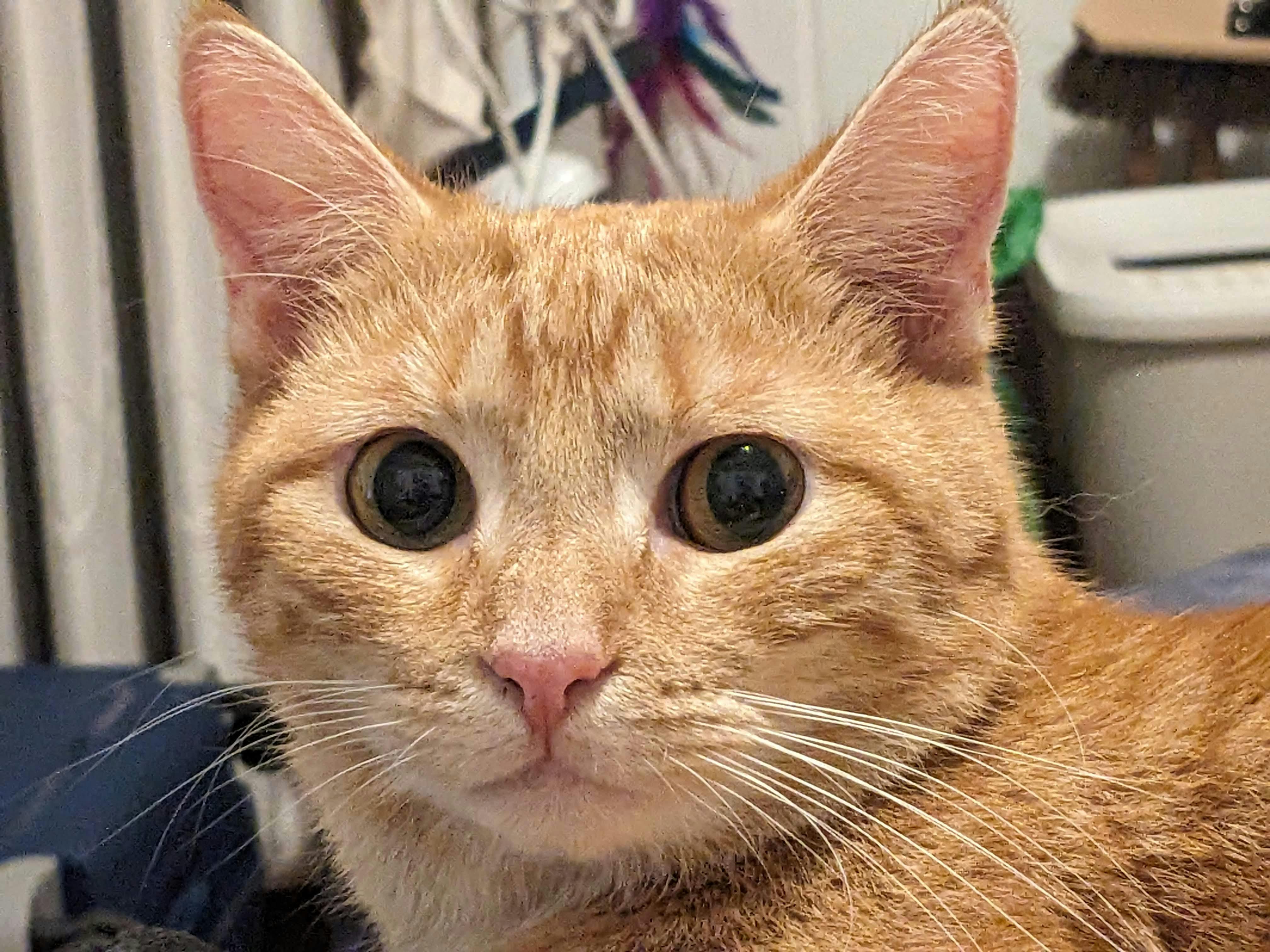 user avatar image for Camille Caffarel