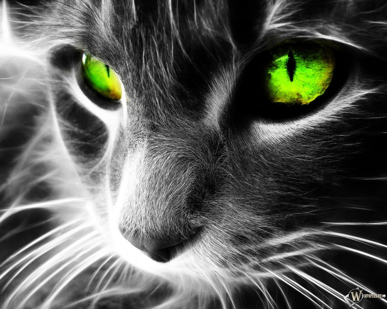 user avatar image for Mark Schiebold