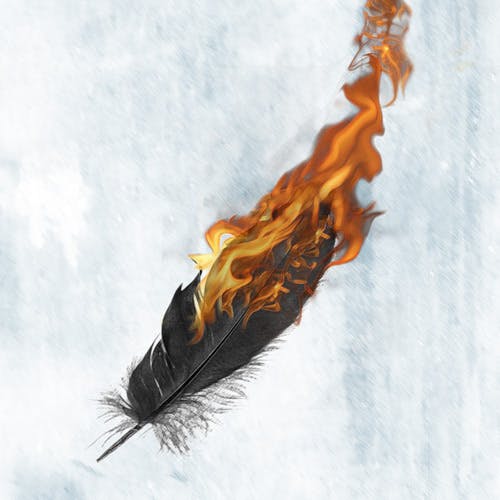 user avatar image for Daniel Markwig