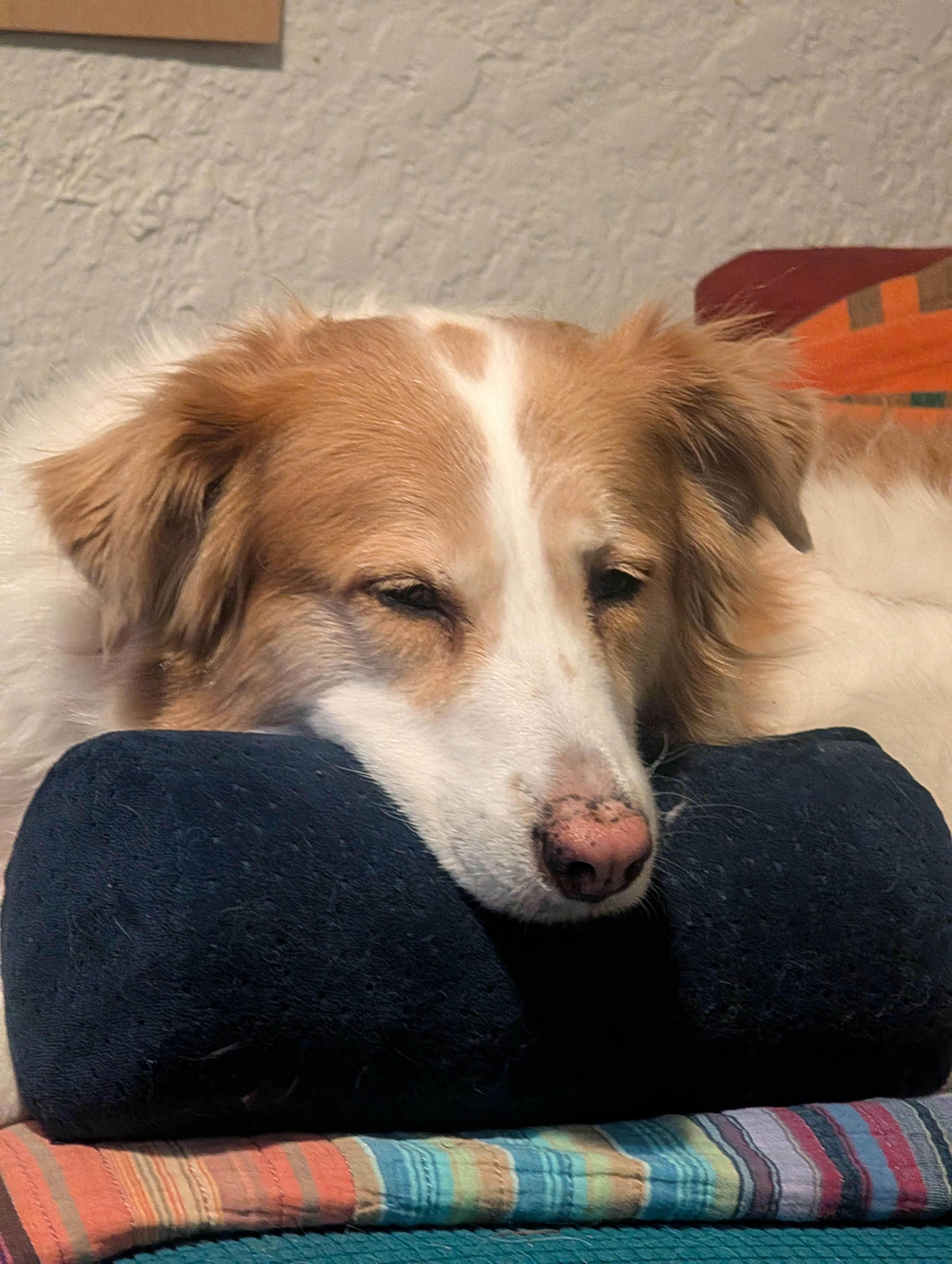 user avatar image for Julie