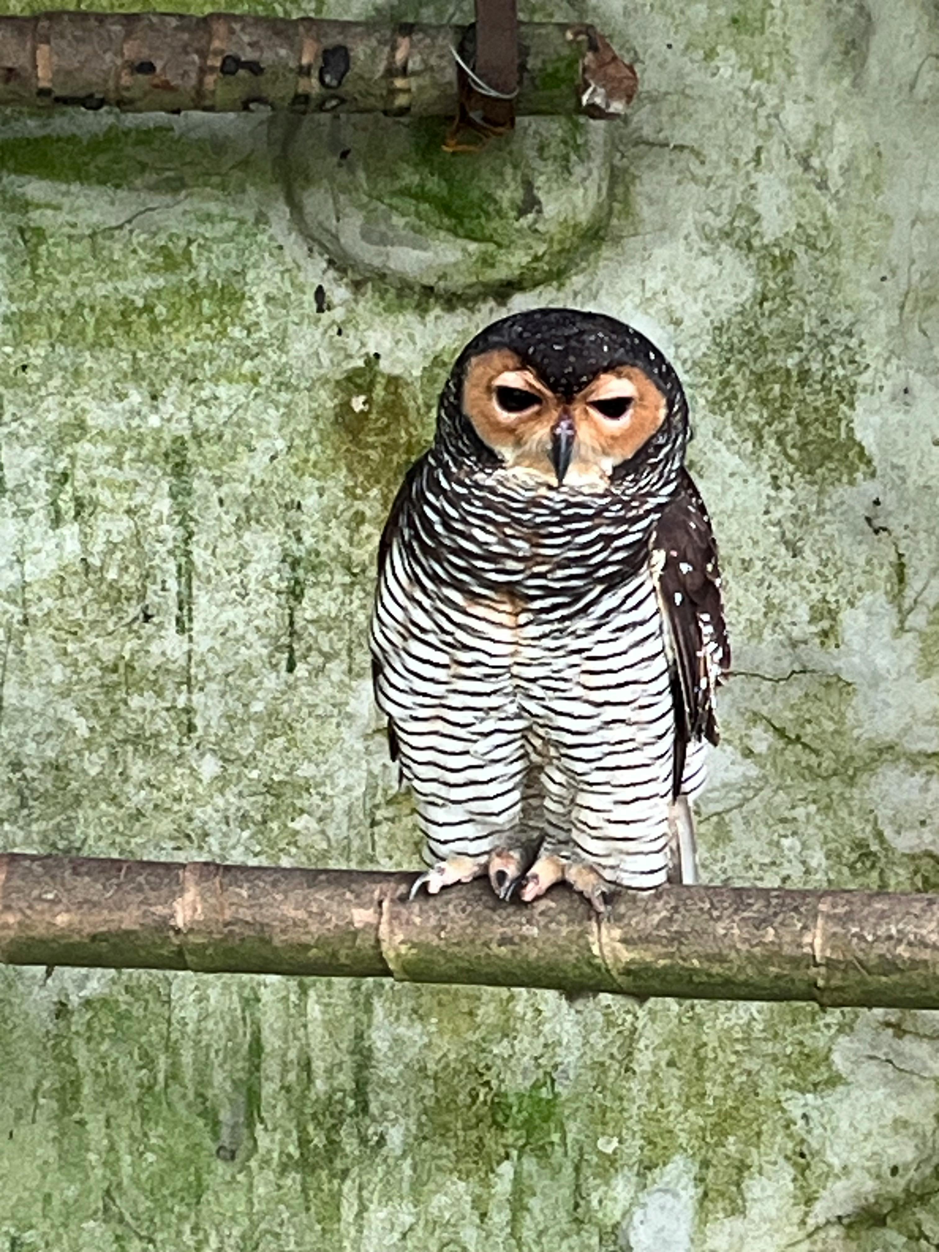 user avatar image for Robin Schumaker