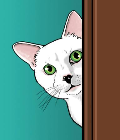 user avatar image for Rachel R.