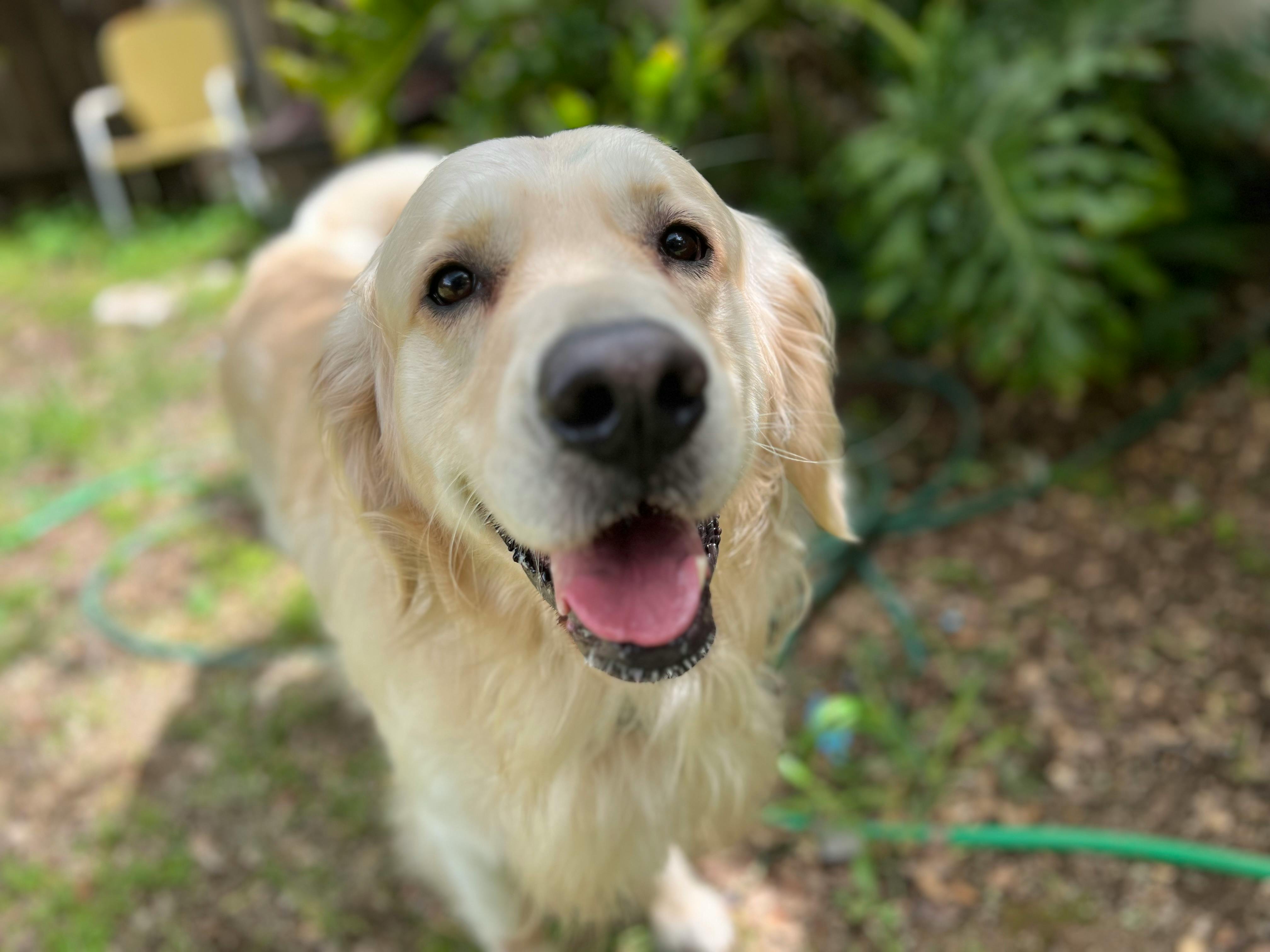 user avatar image for Katharine Magill