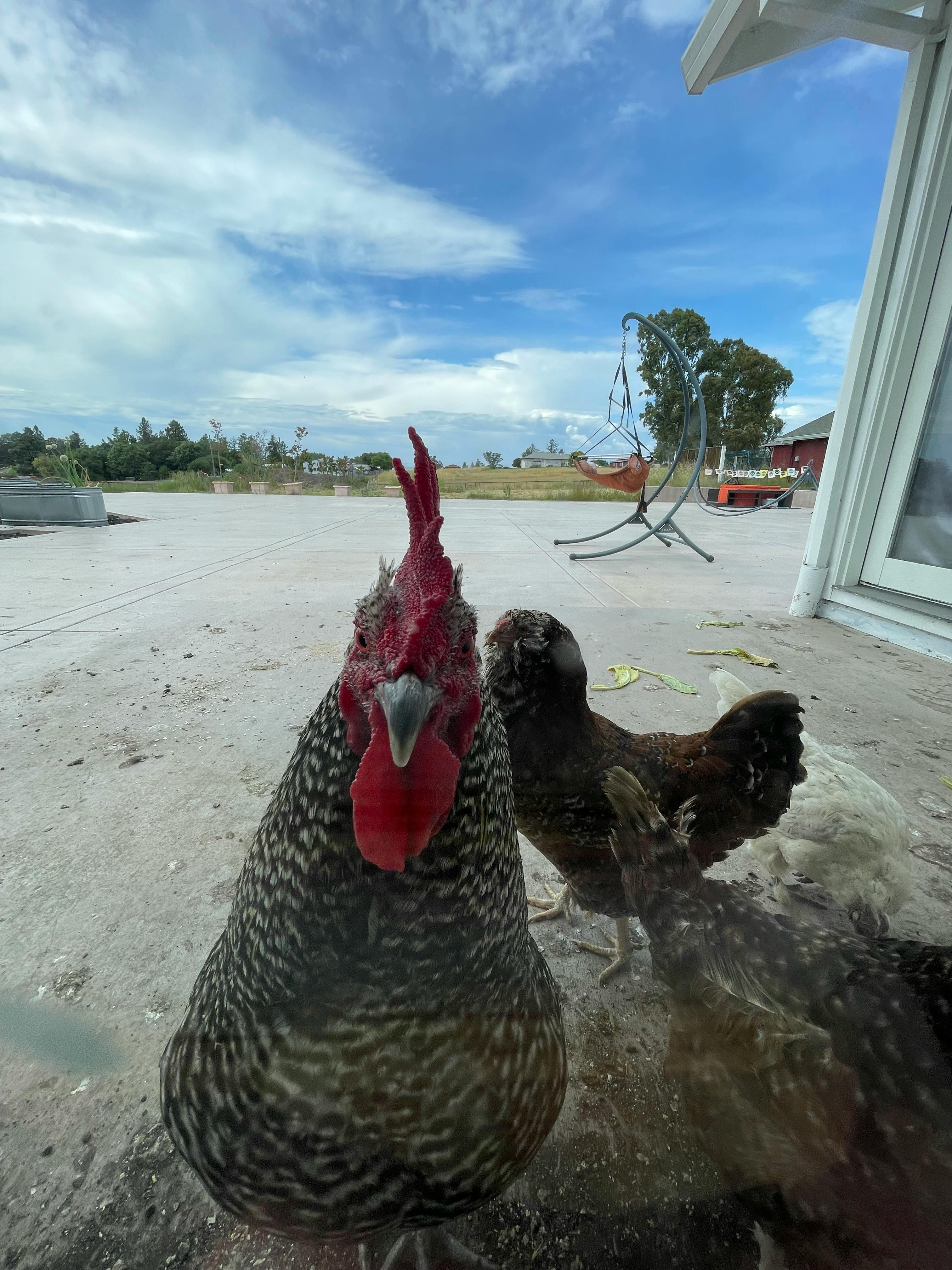 user avatar image for Scot