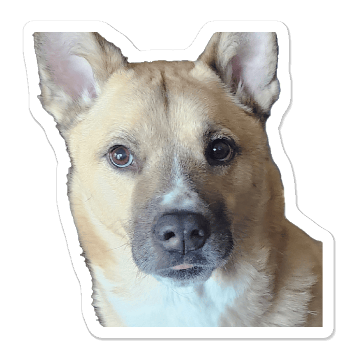 user avatar image for Chase Yarbrough