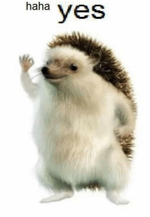 user avatar image for Nathan Gellin