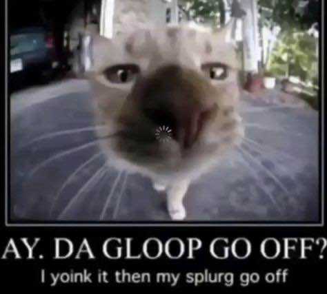 user avatar image for JaredTheCatMan