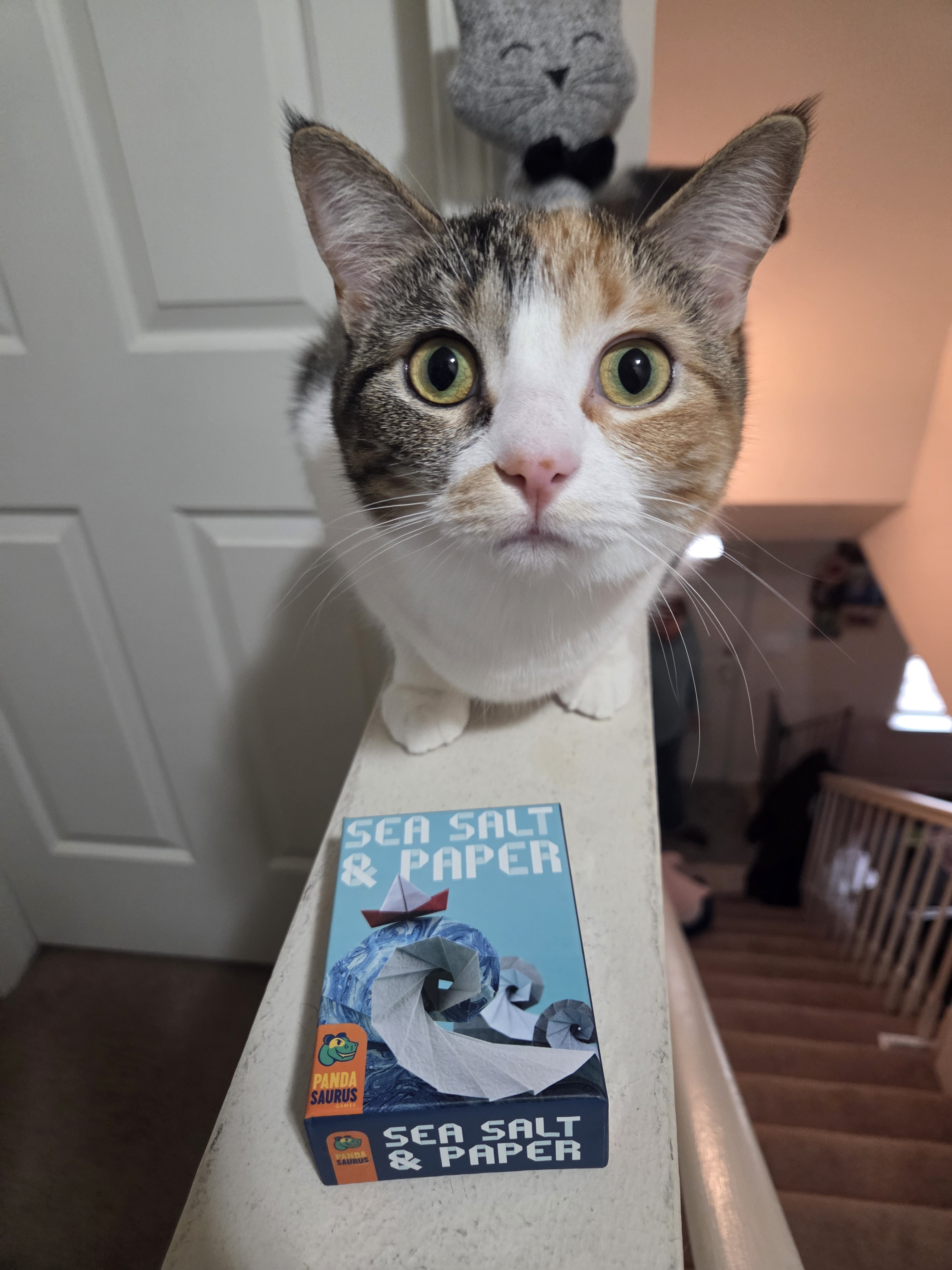 user avatar image for Leanne P