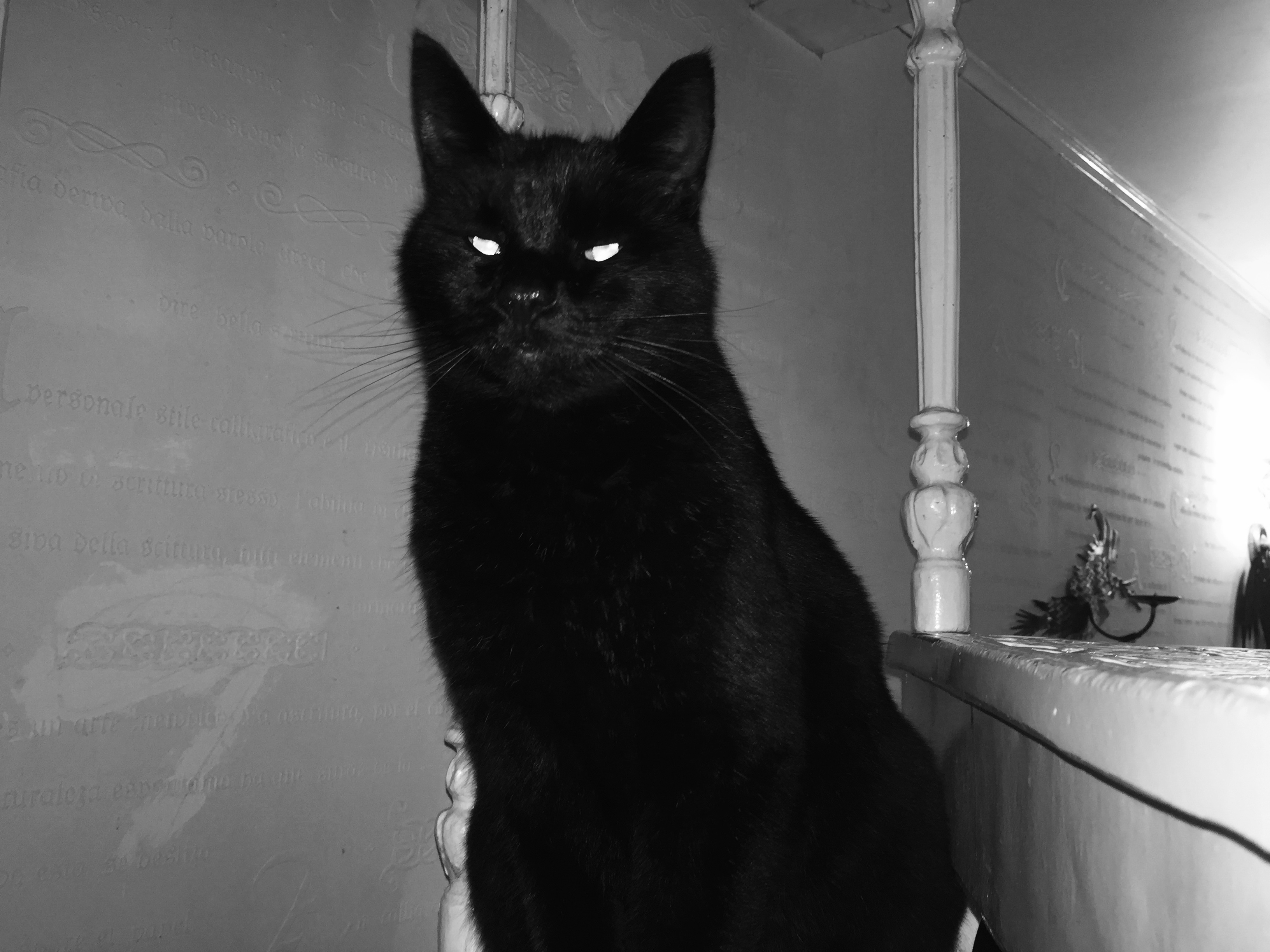 user avatar image for Pyewacket