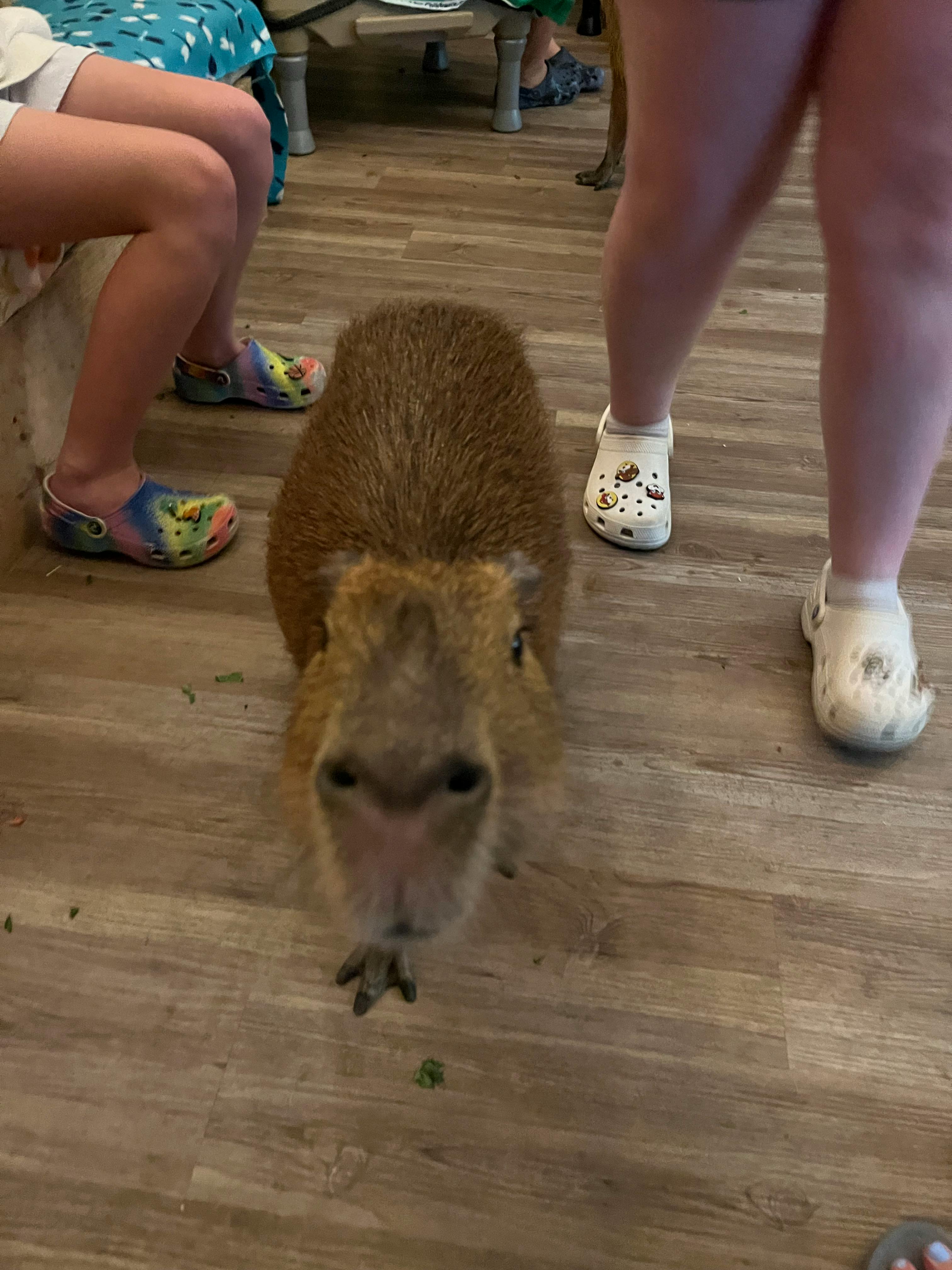 user avatar image for P