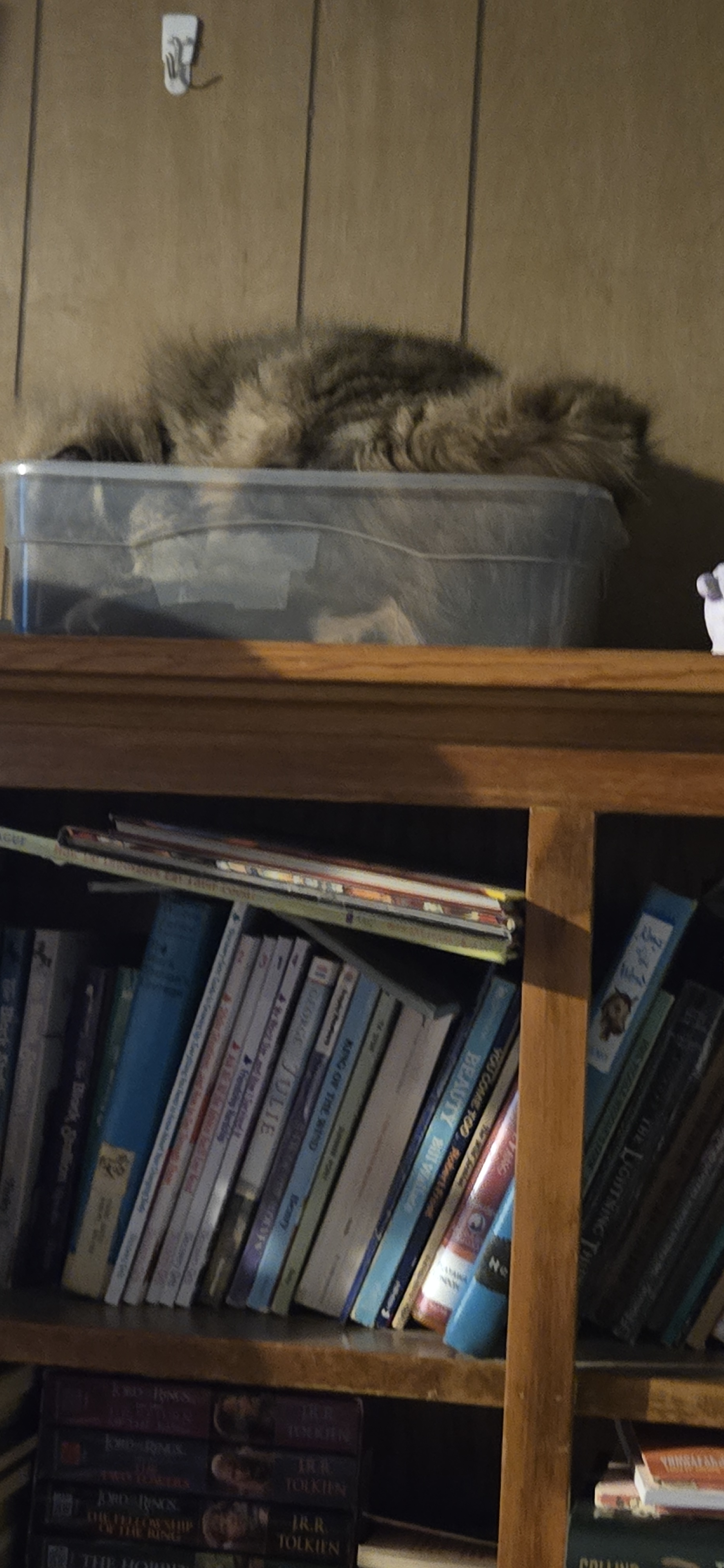 user avatar image for Shadowbrightshine 