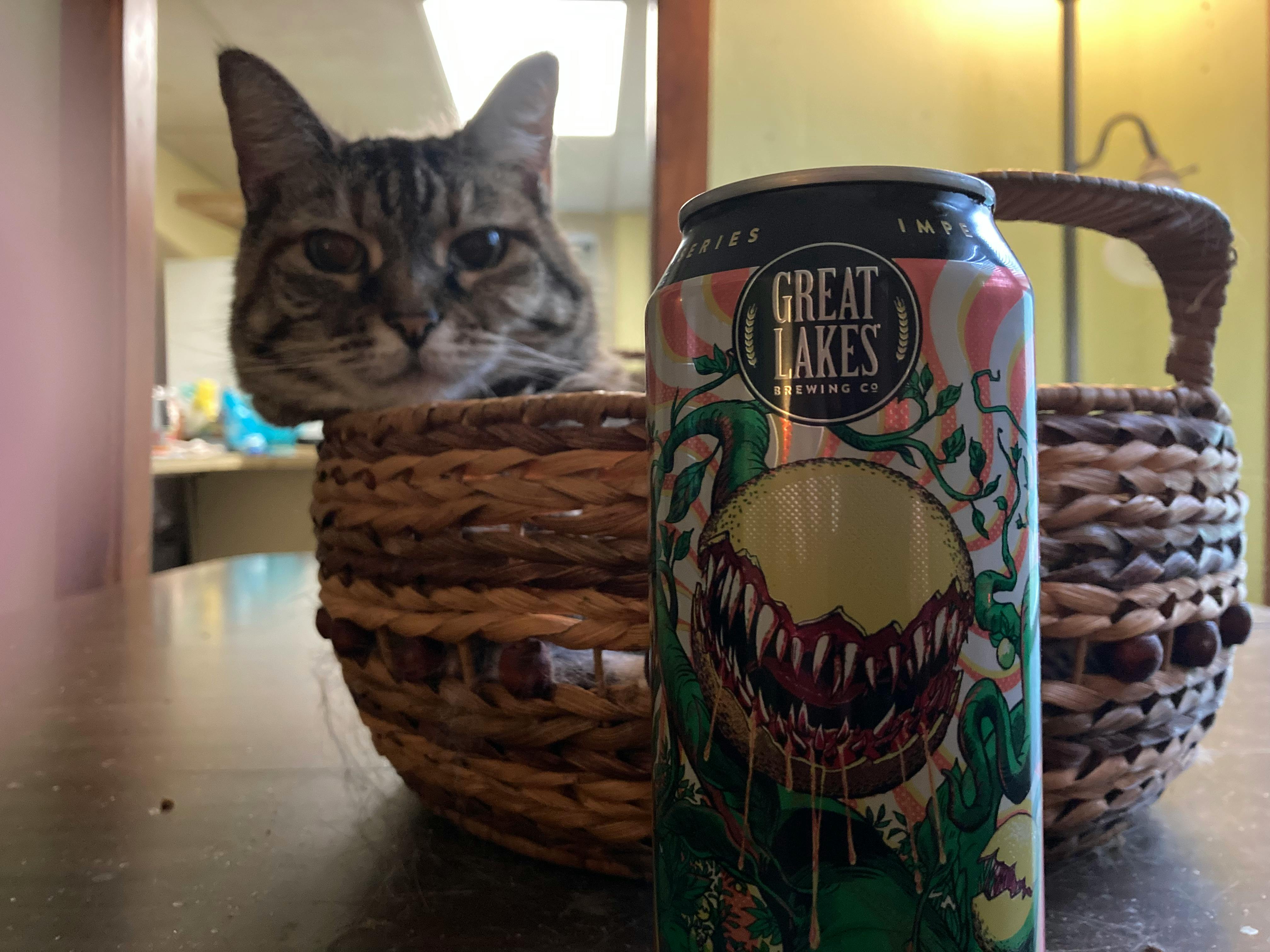 user avatar image for Patrick Whited