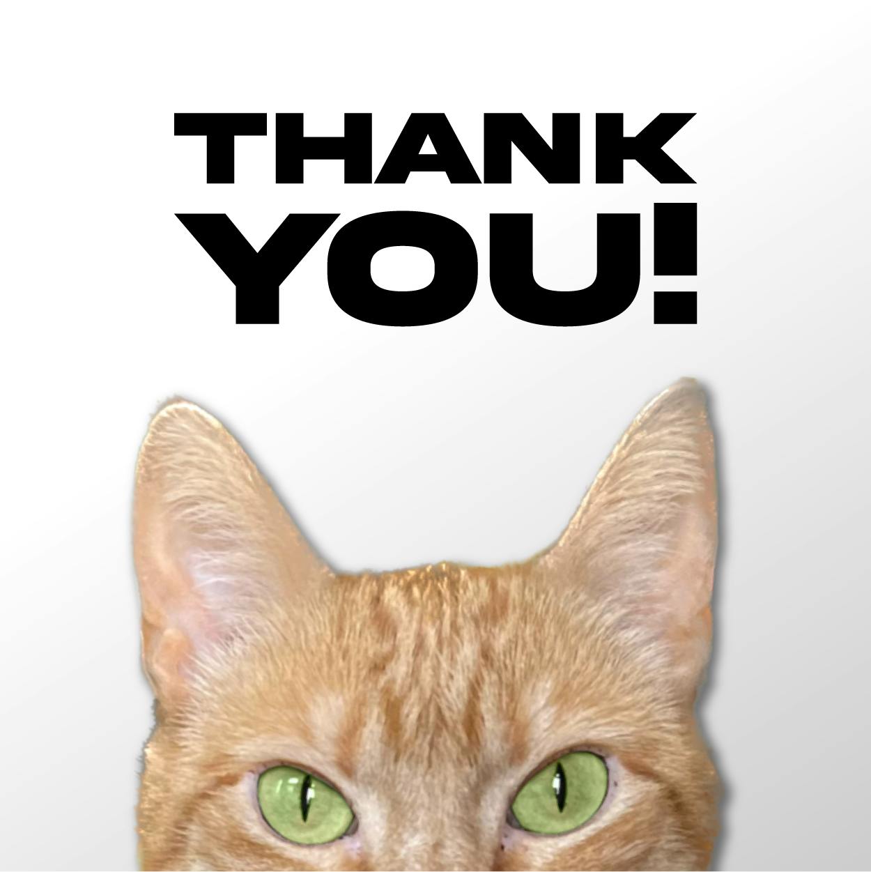 Build Your Own Tier! (Or just support us because you love us!)