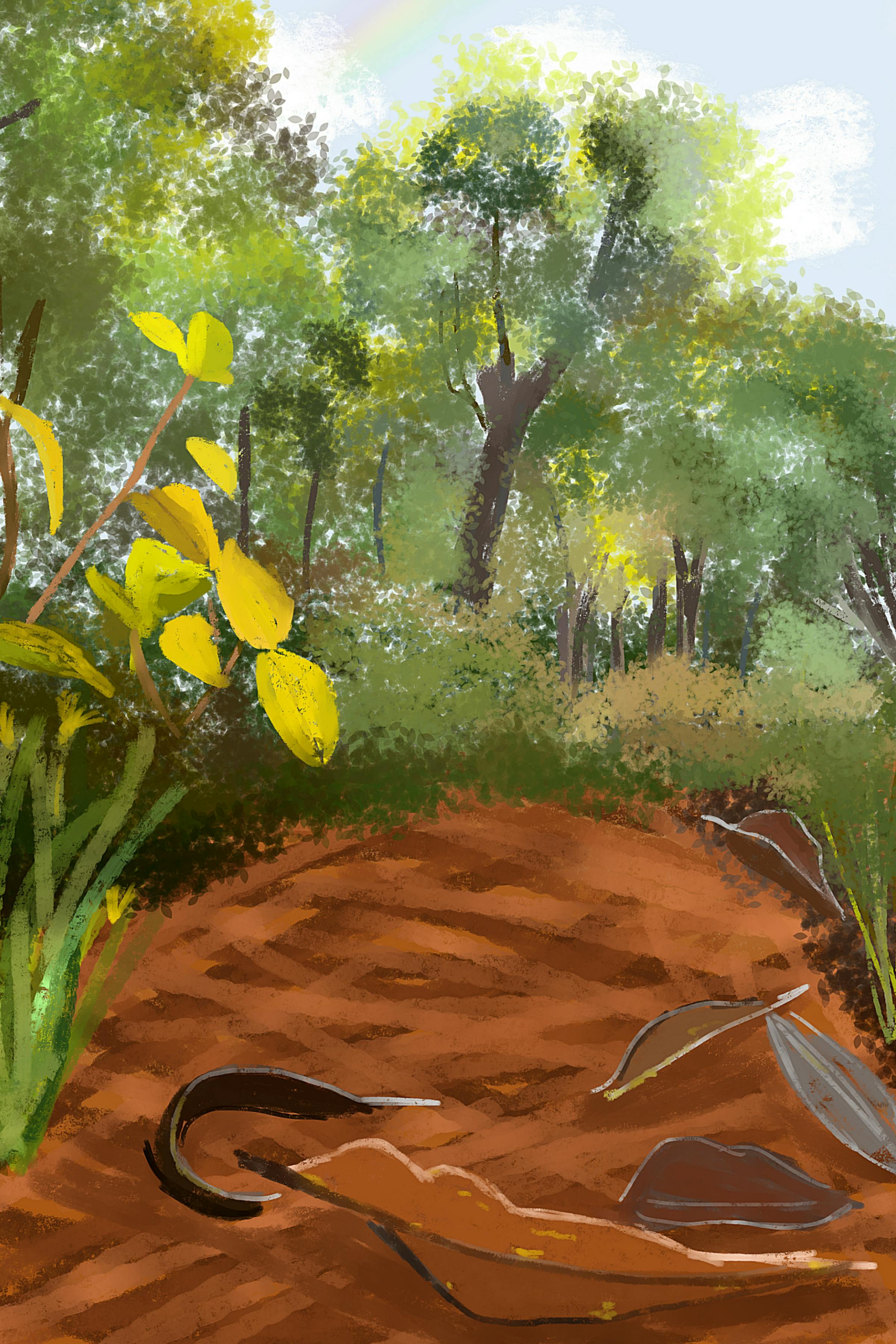 POSTCARD Hidden Colours of Autumn