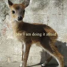 user avatar image for Chevy White