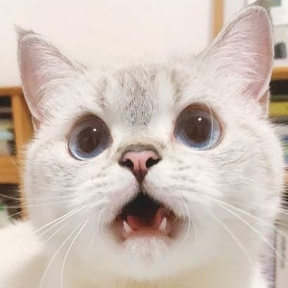 user avatar image for robin