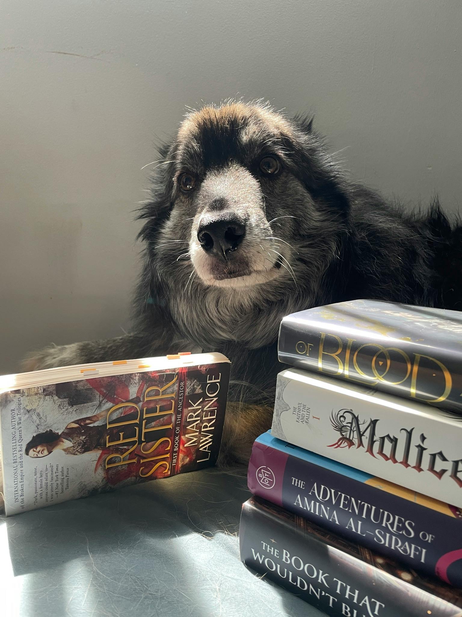 user avatar image for Recanna