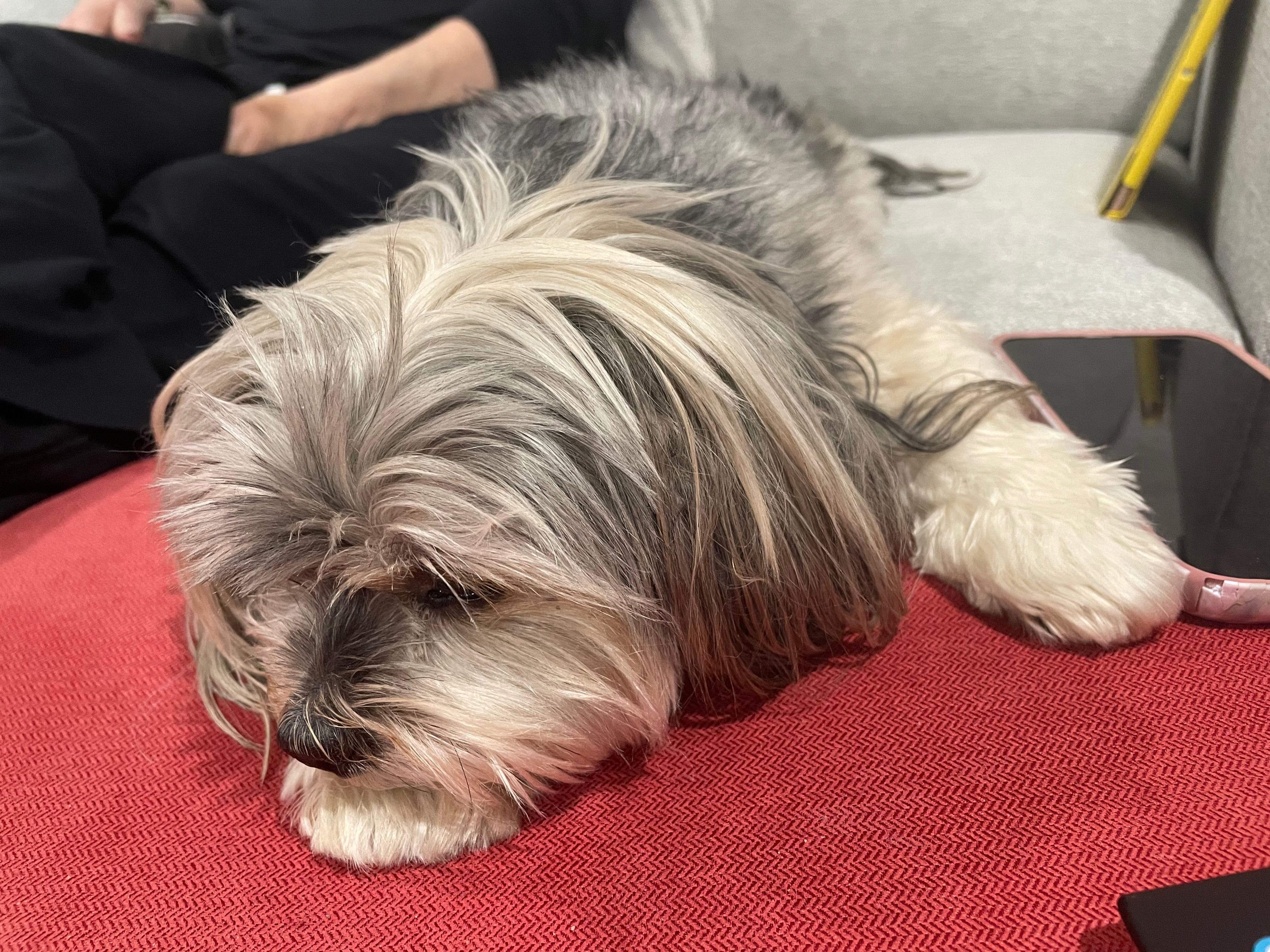 user avatar image for Sara Weiss