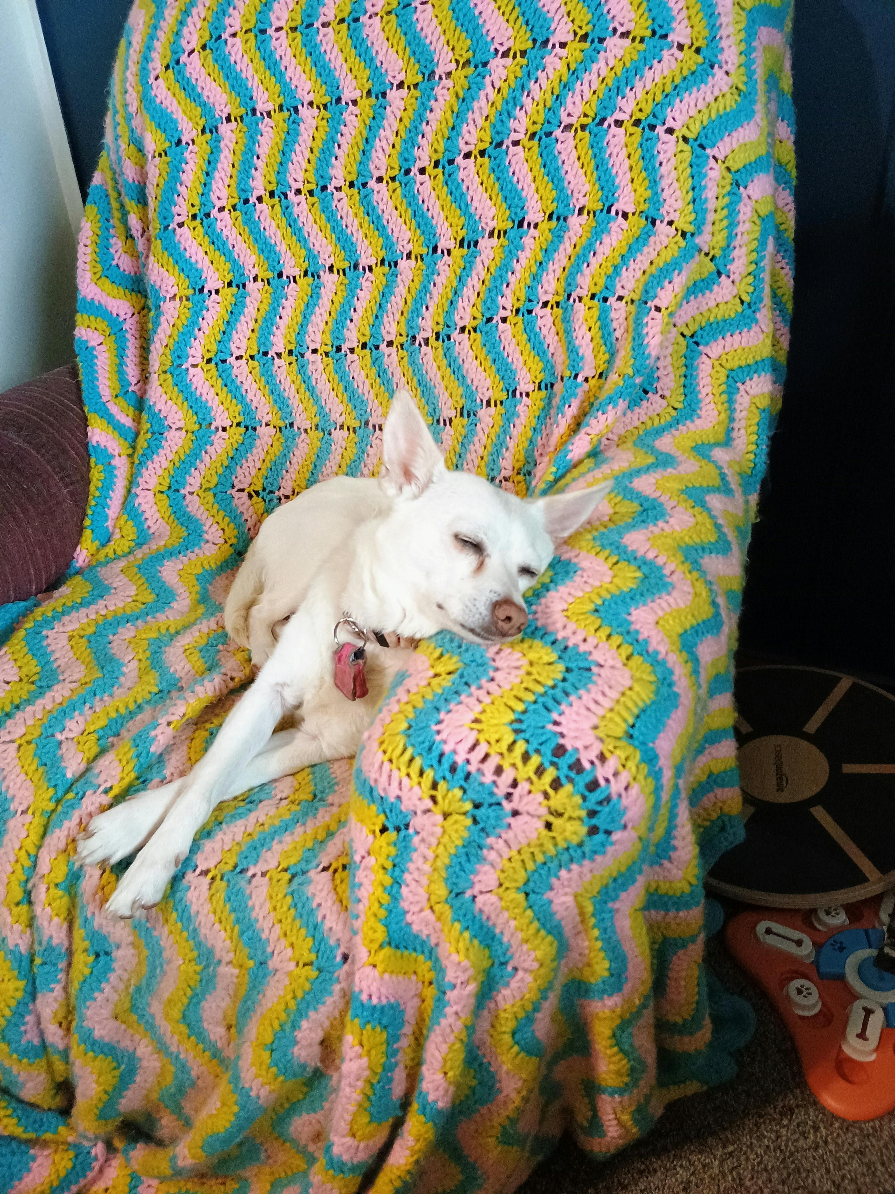 user avatar image for Tracy 