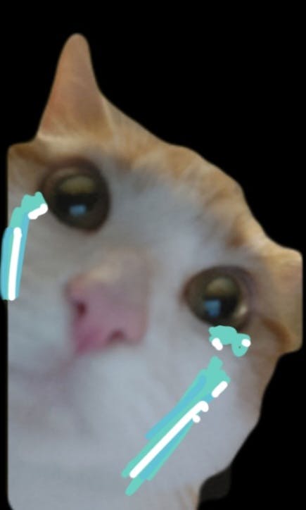 user avatar image for Gemma