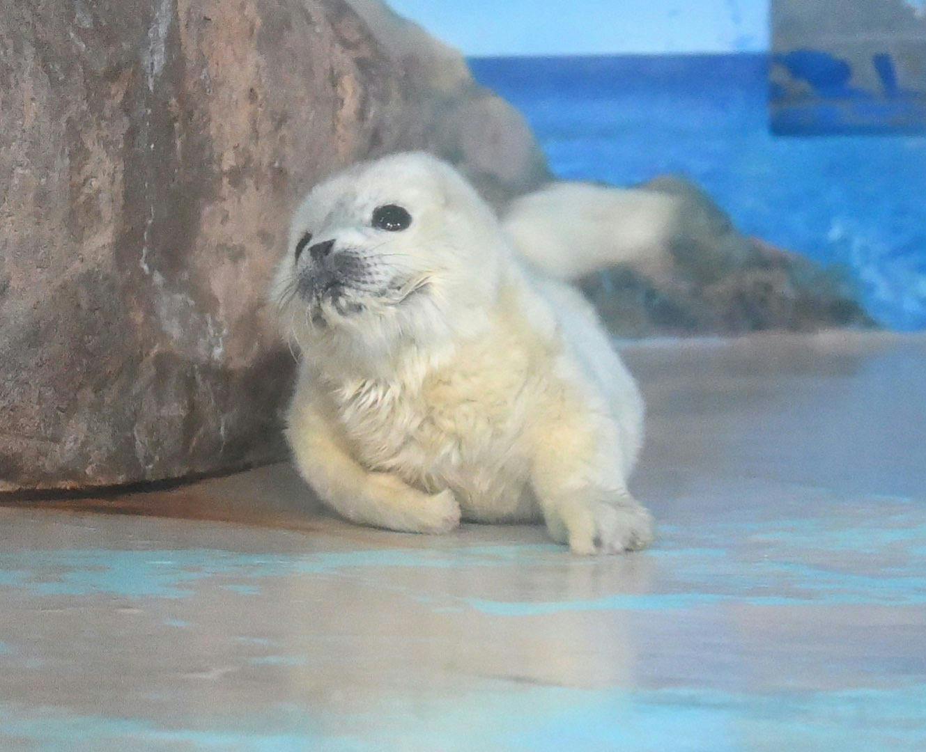 user avatar image for Banned from Glitter