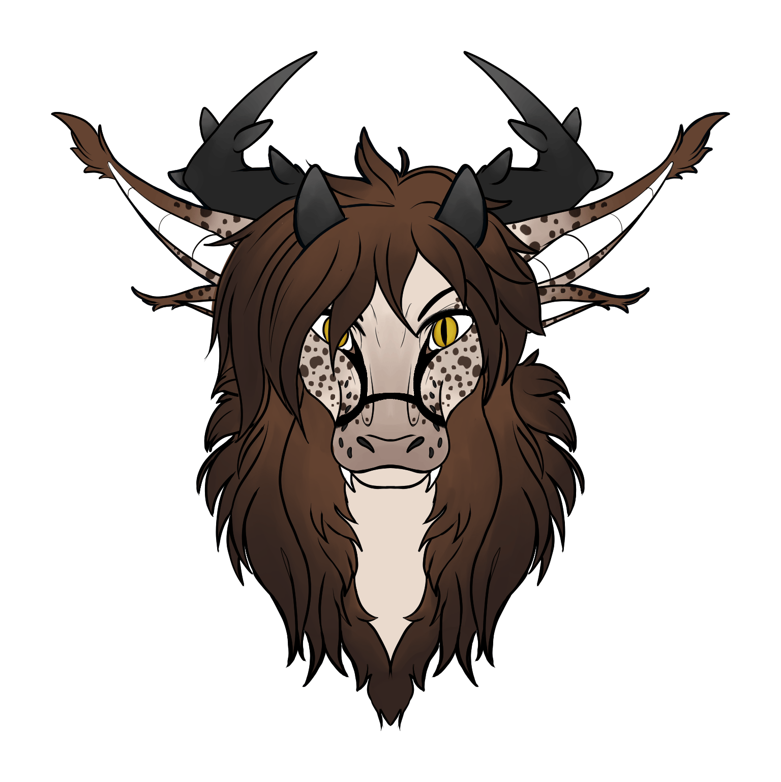 user avatar image for Nyght