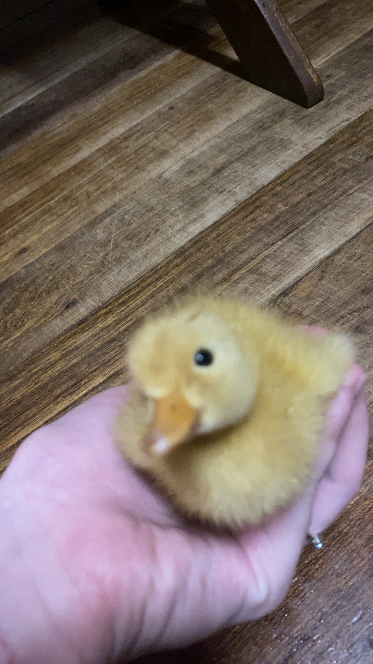 user avatar image for Emily