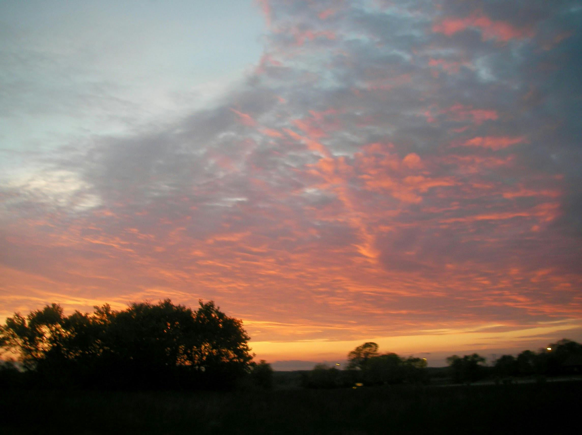 user avatar image for Megan Rasmussen