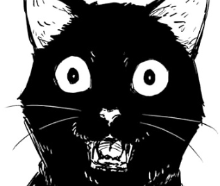 user avatar image for Qvo