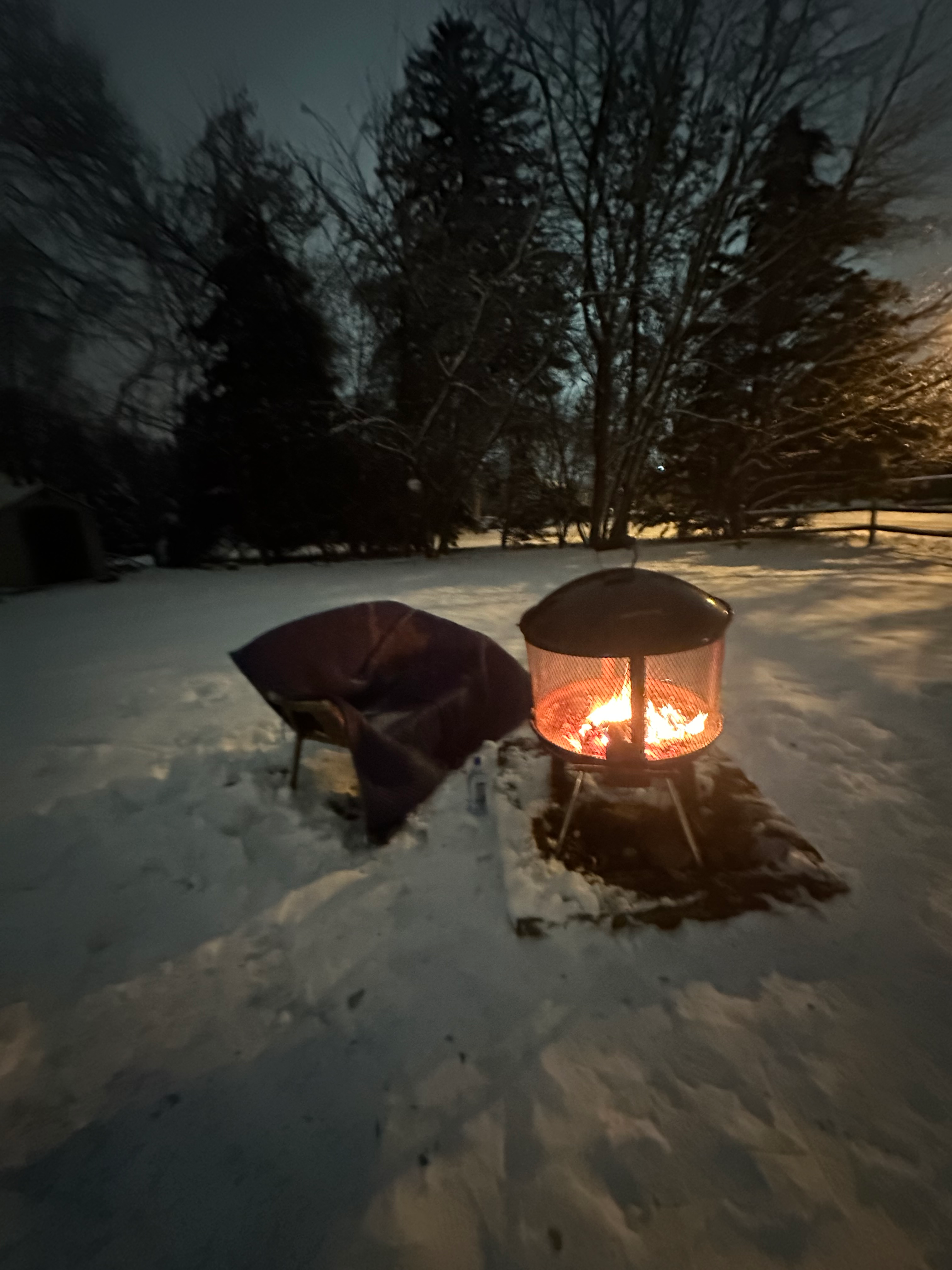 user avatar image for Lori