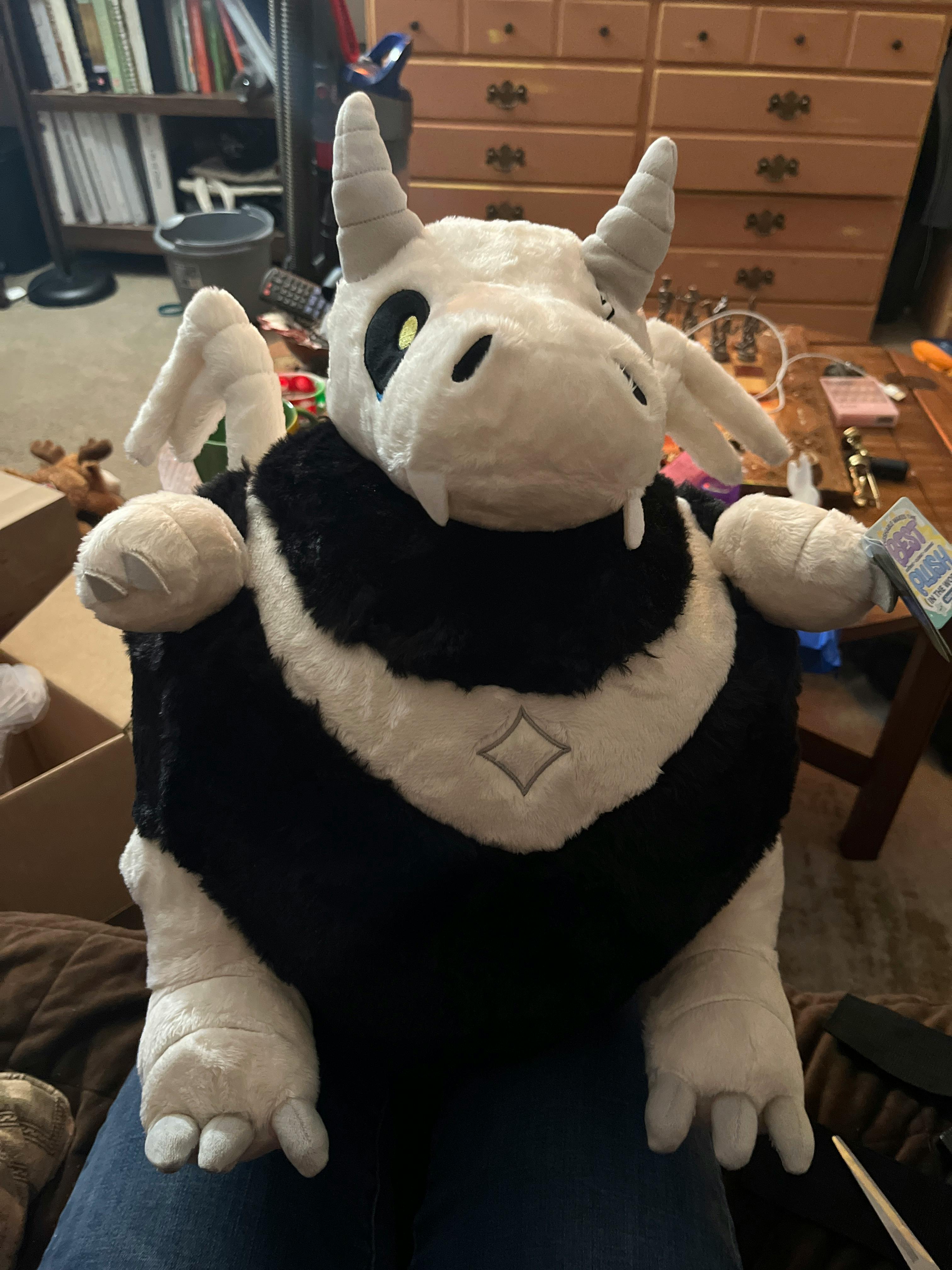 user avatar image for Lauren R