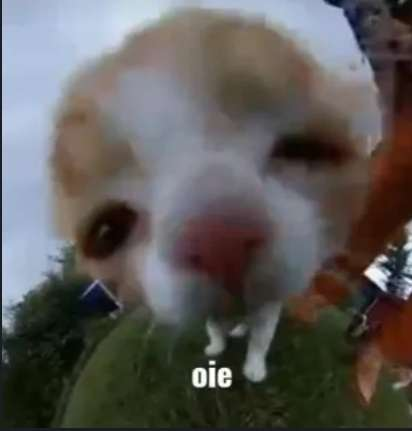 user avatar image for mewpsi