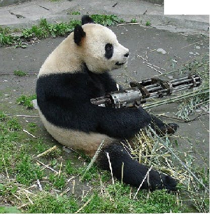 user avatar image for Anonymous Panda