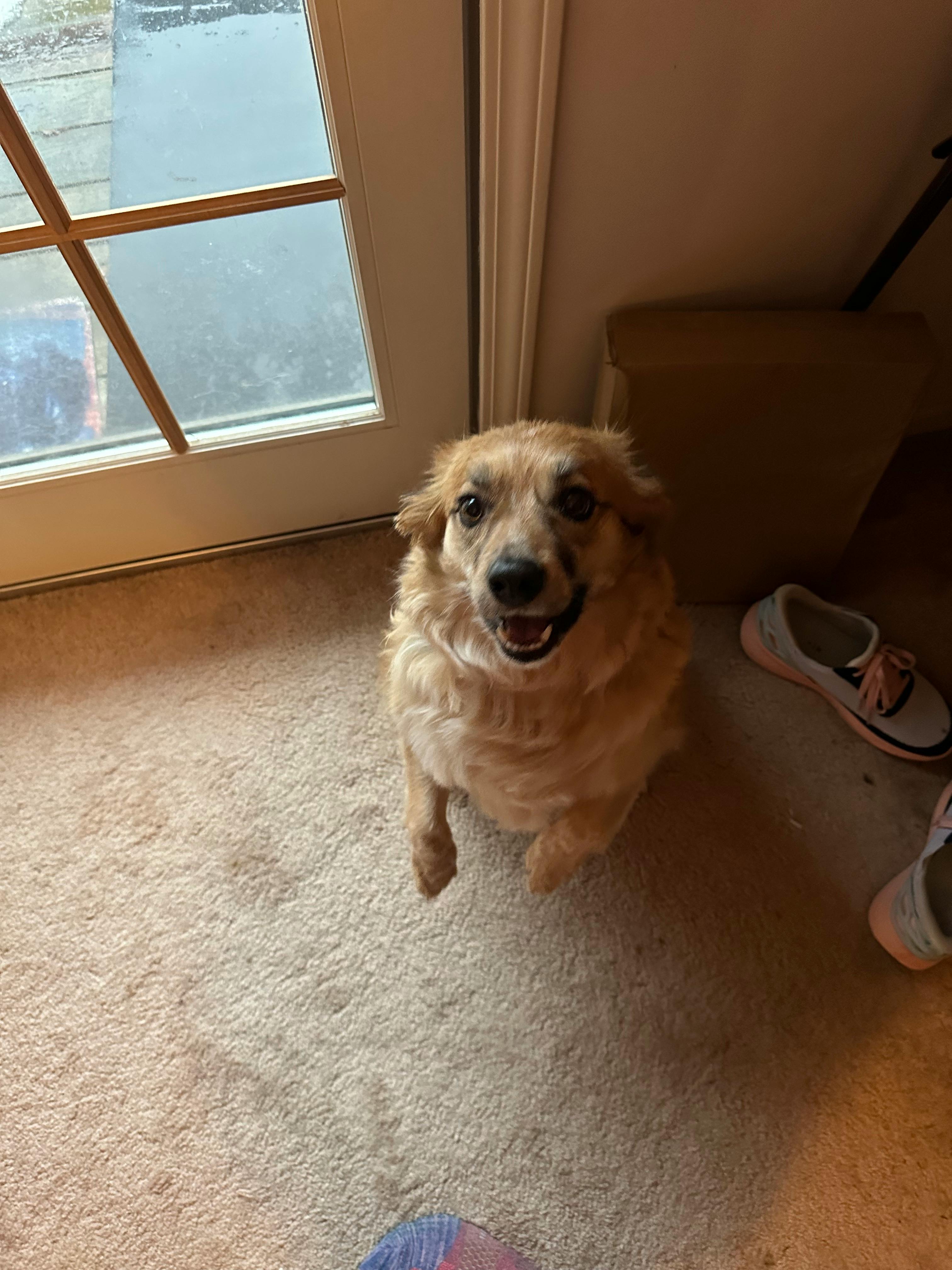 user avatar image for Dr. Casey J Rudkin