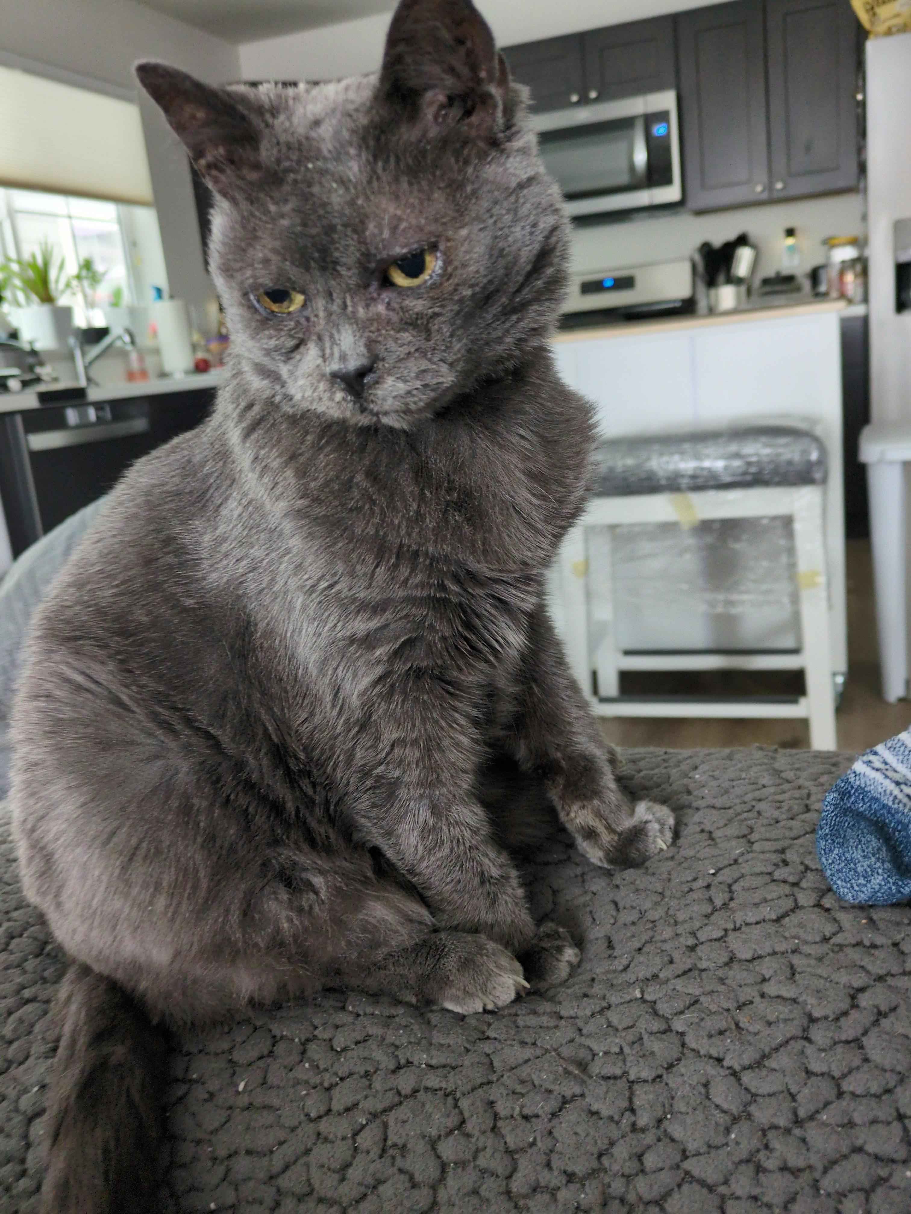 user avatar image for fresh03