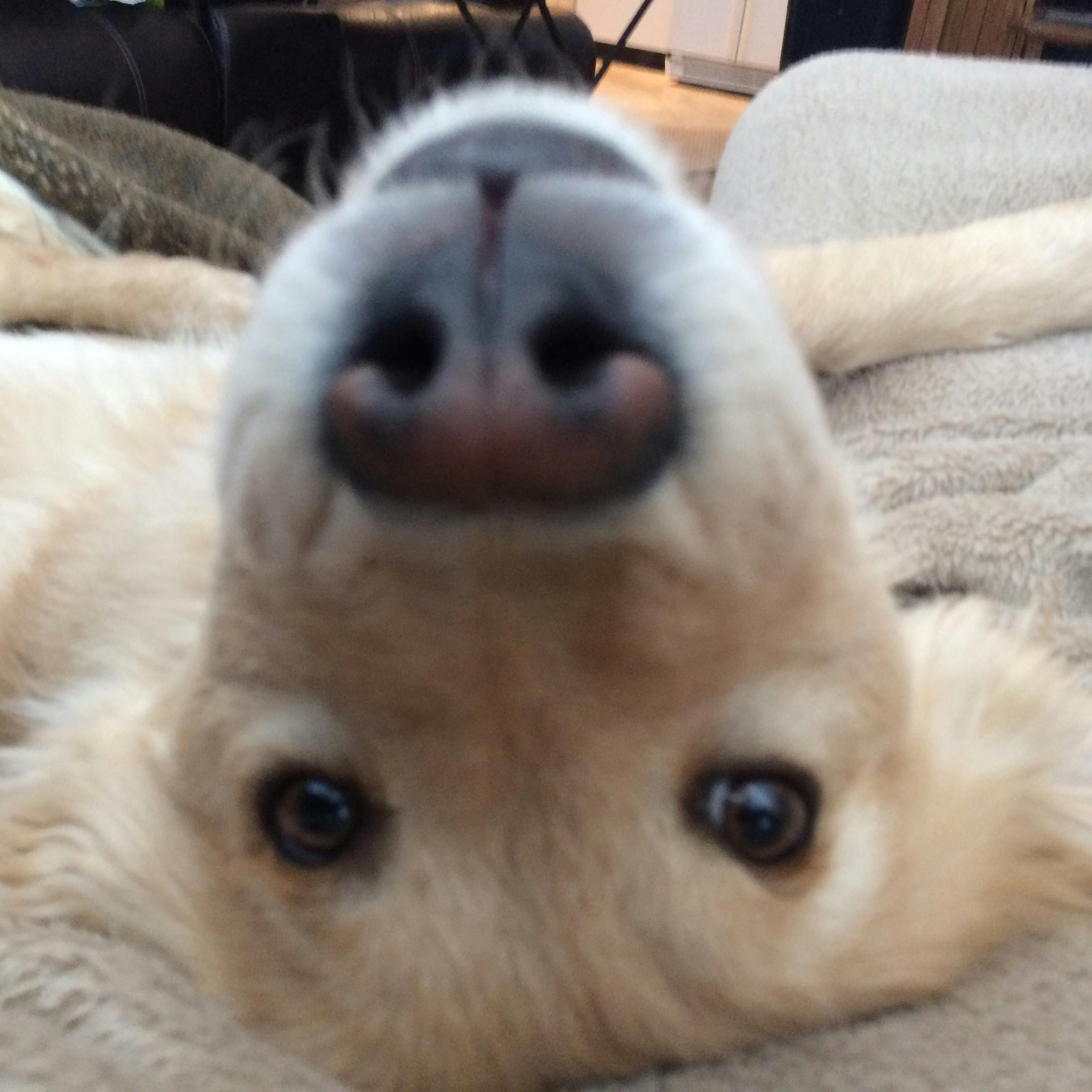 user avatar image for GamezMama