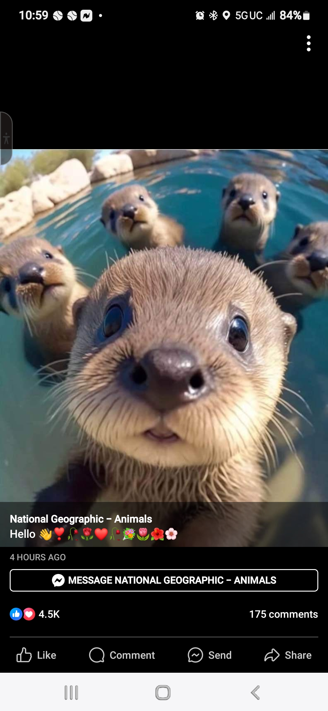 user avatar image for Alana