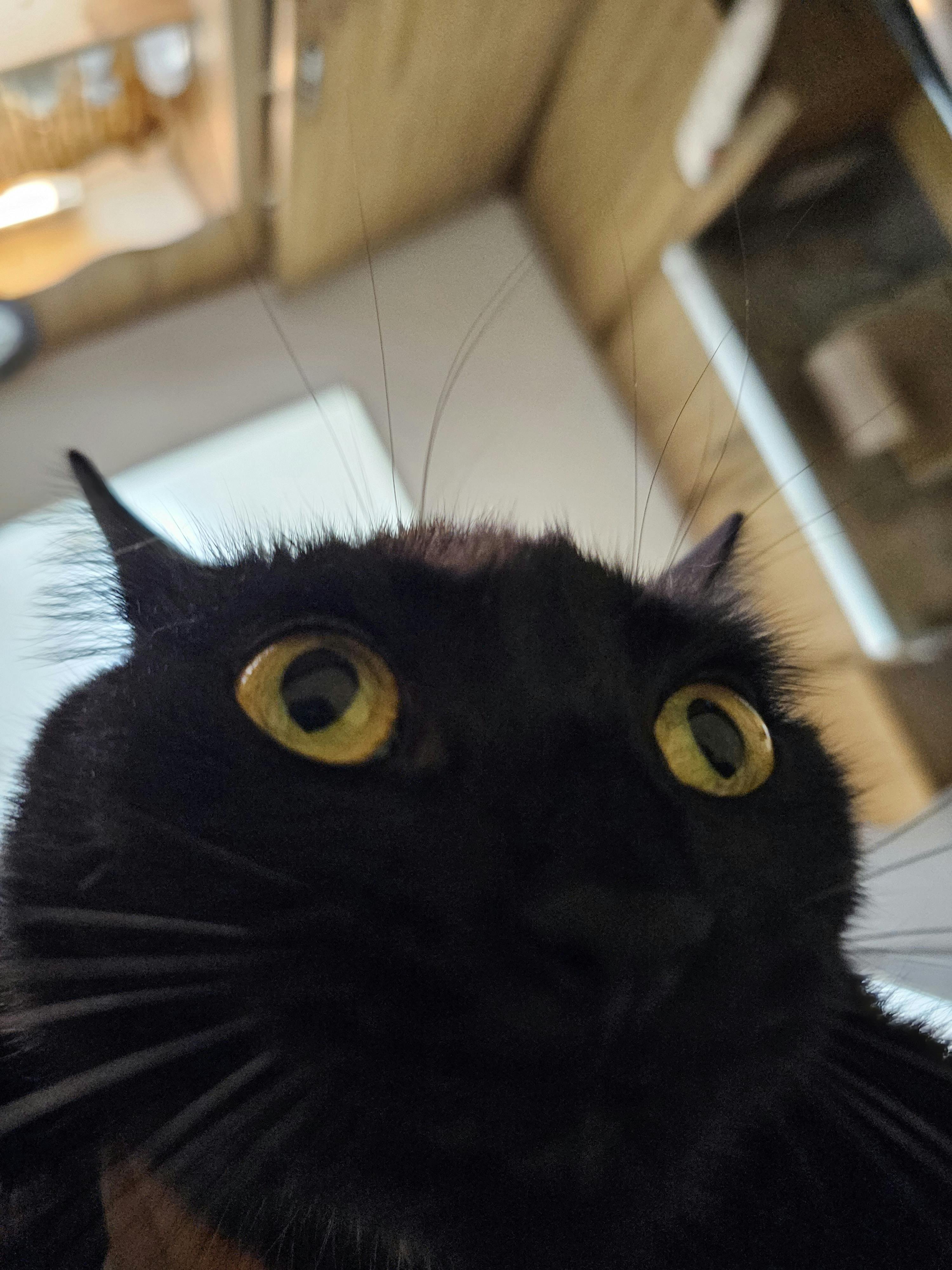 user avatar image for Ethan