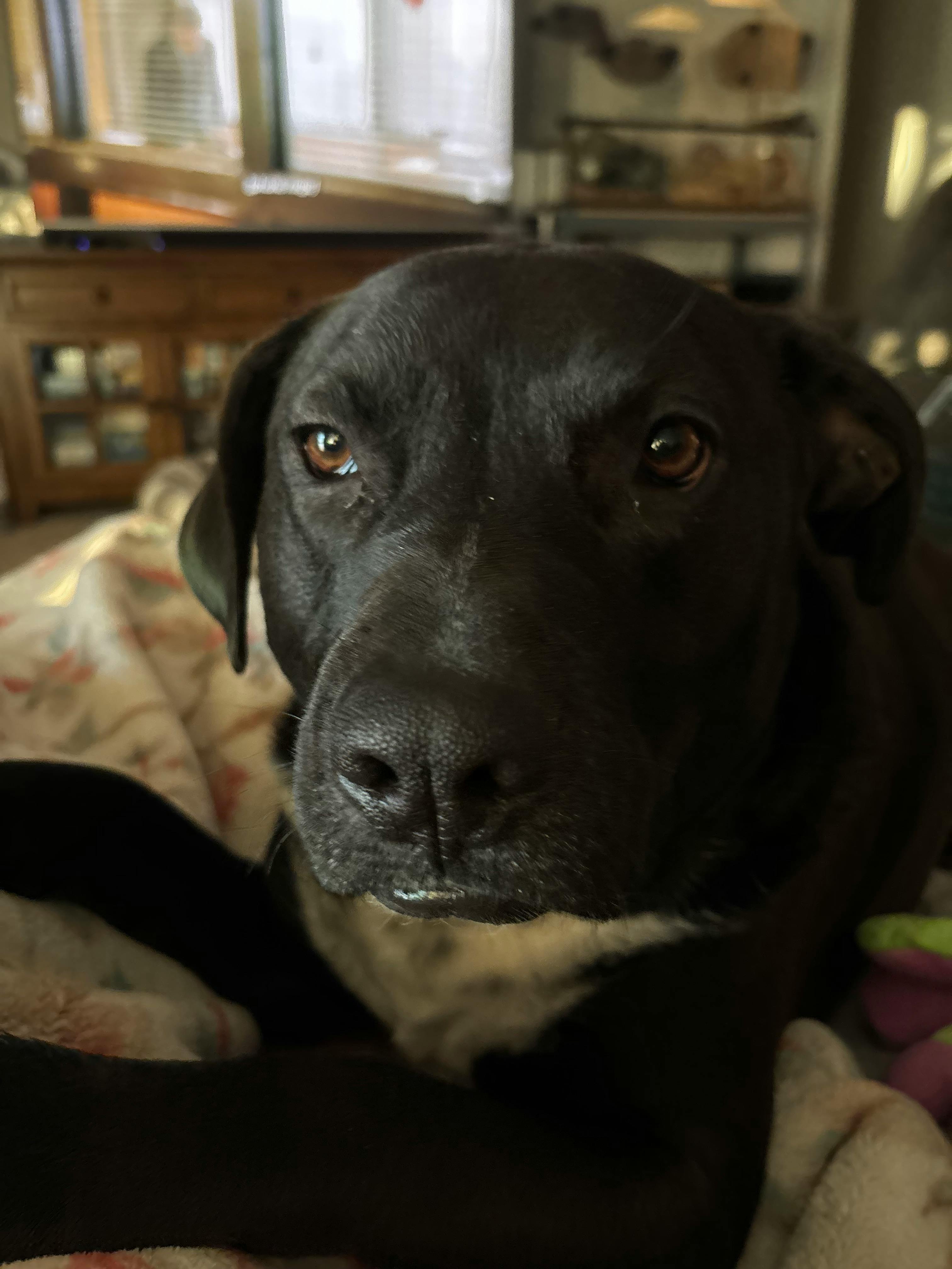 user avatar image for Betty Foreman