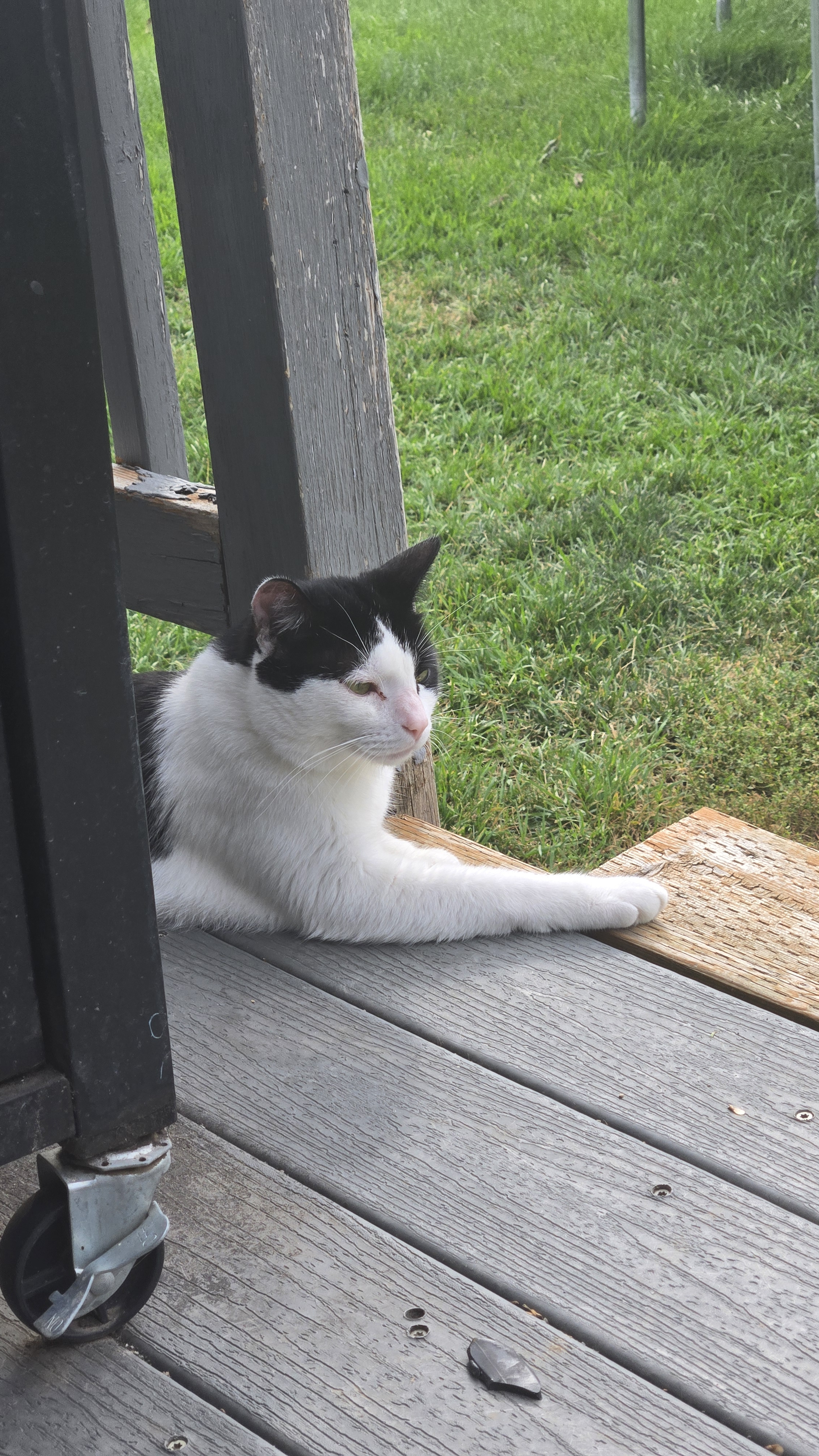 user avatar image for kyriander 