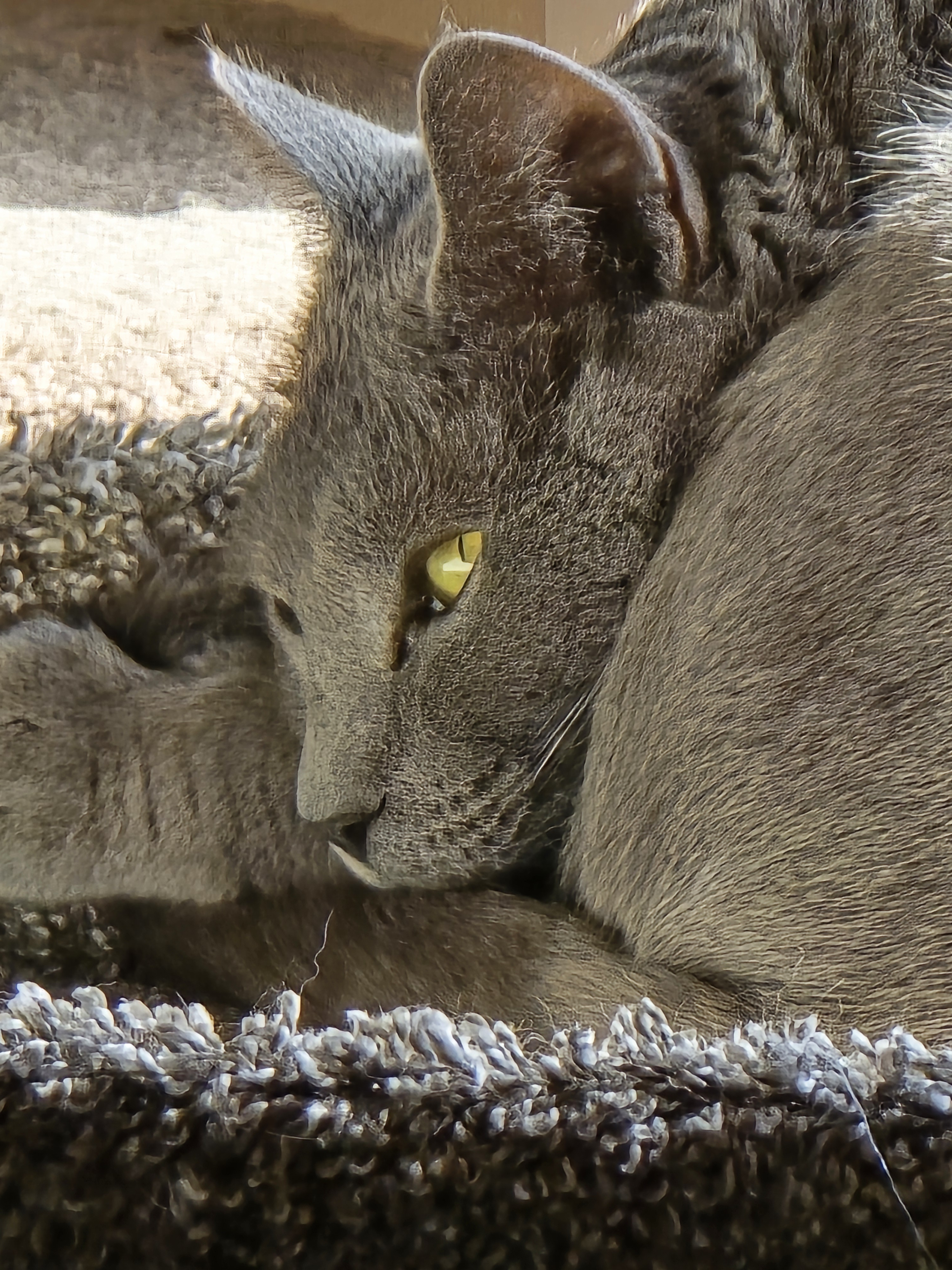 user avatar image for Sahvenn