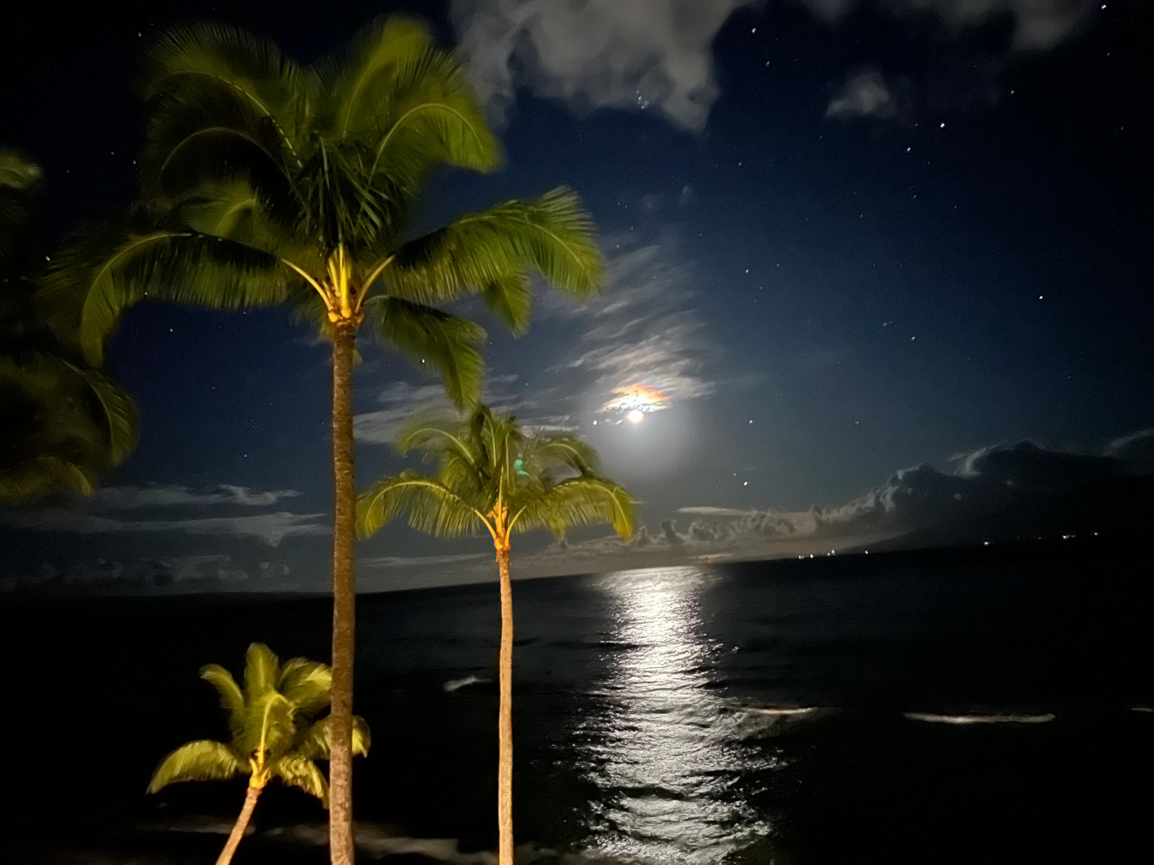 user avatar image for Jon Wagner