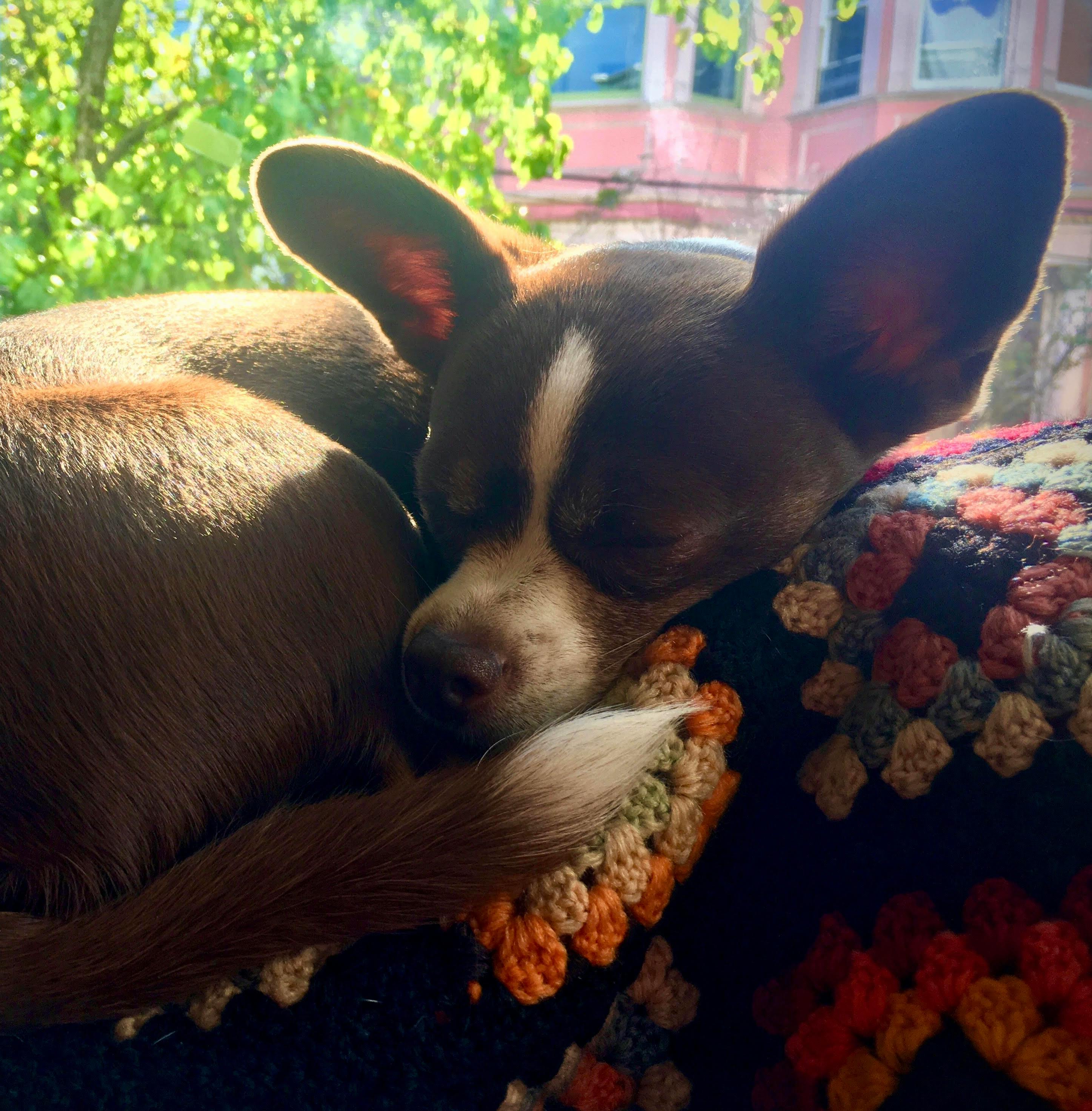 user avatar image for SarahL