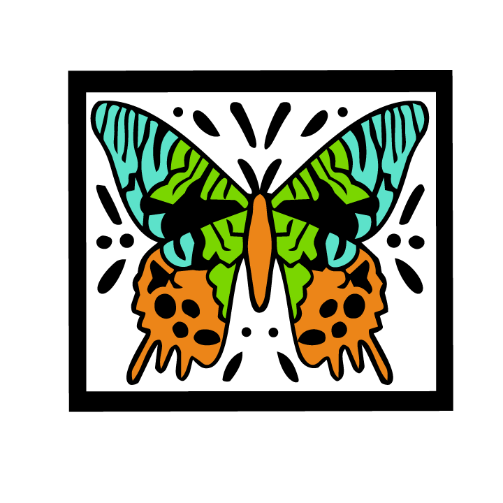 paradise butterfly