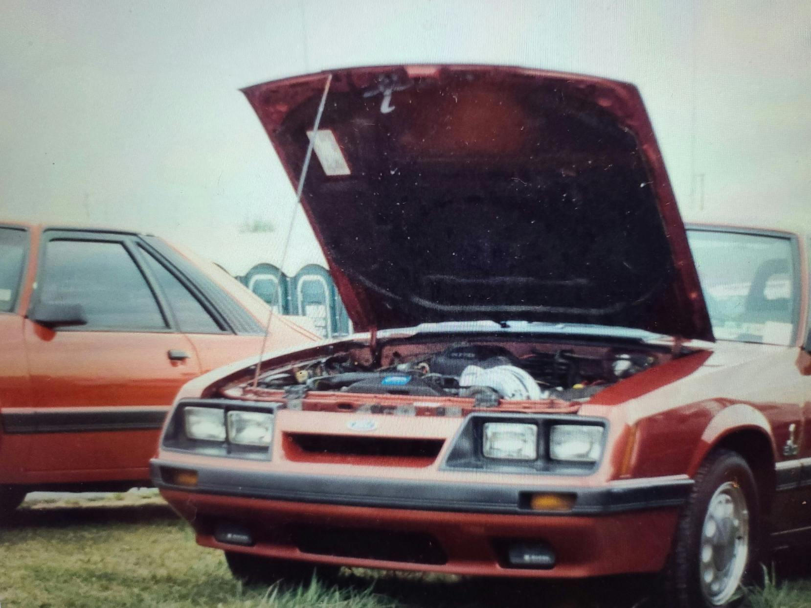 user avatar image for ponyexpress