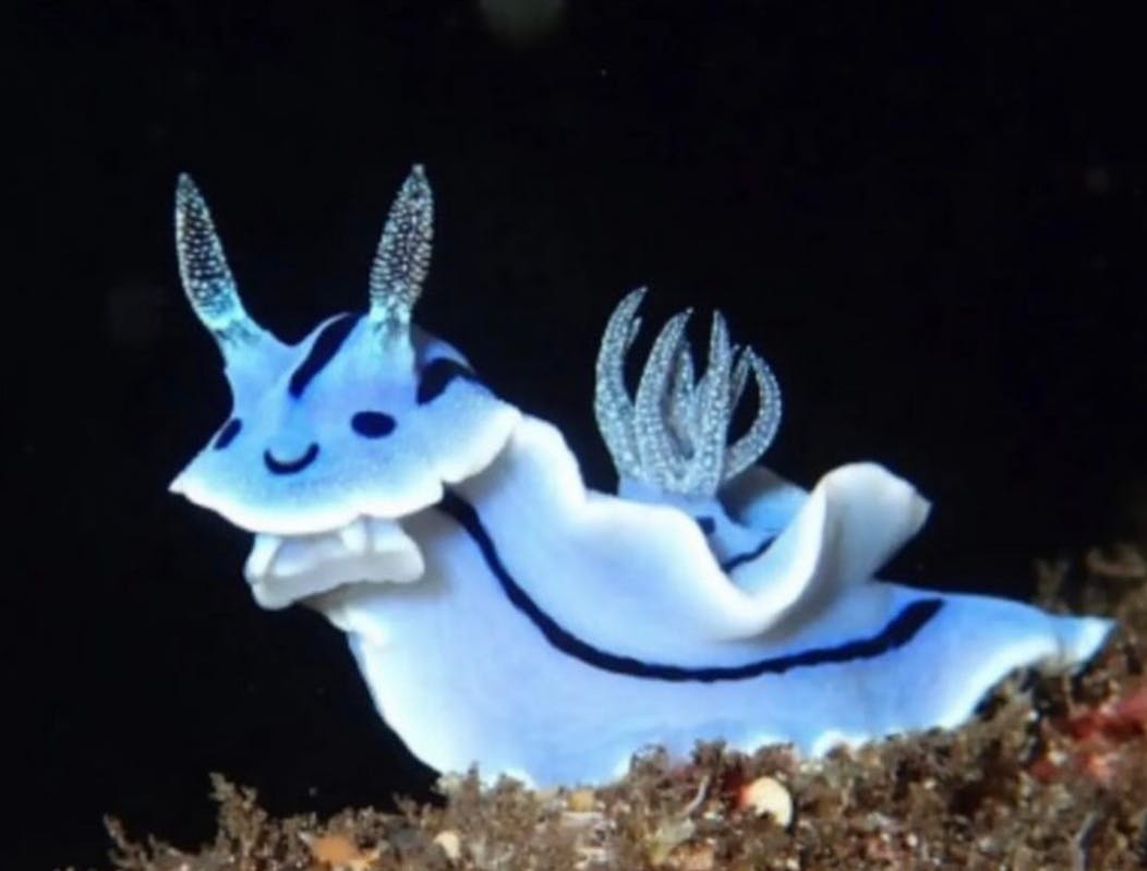 user avatar image for Sarah Marshall