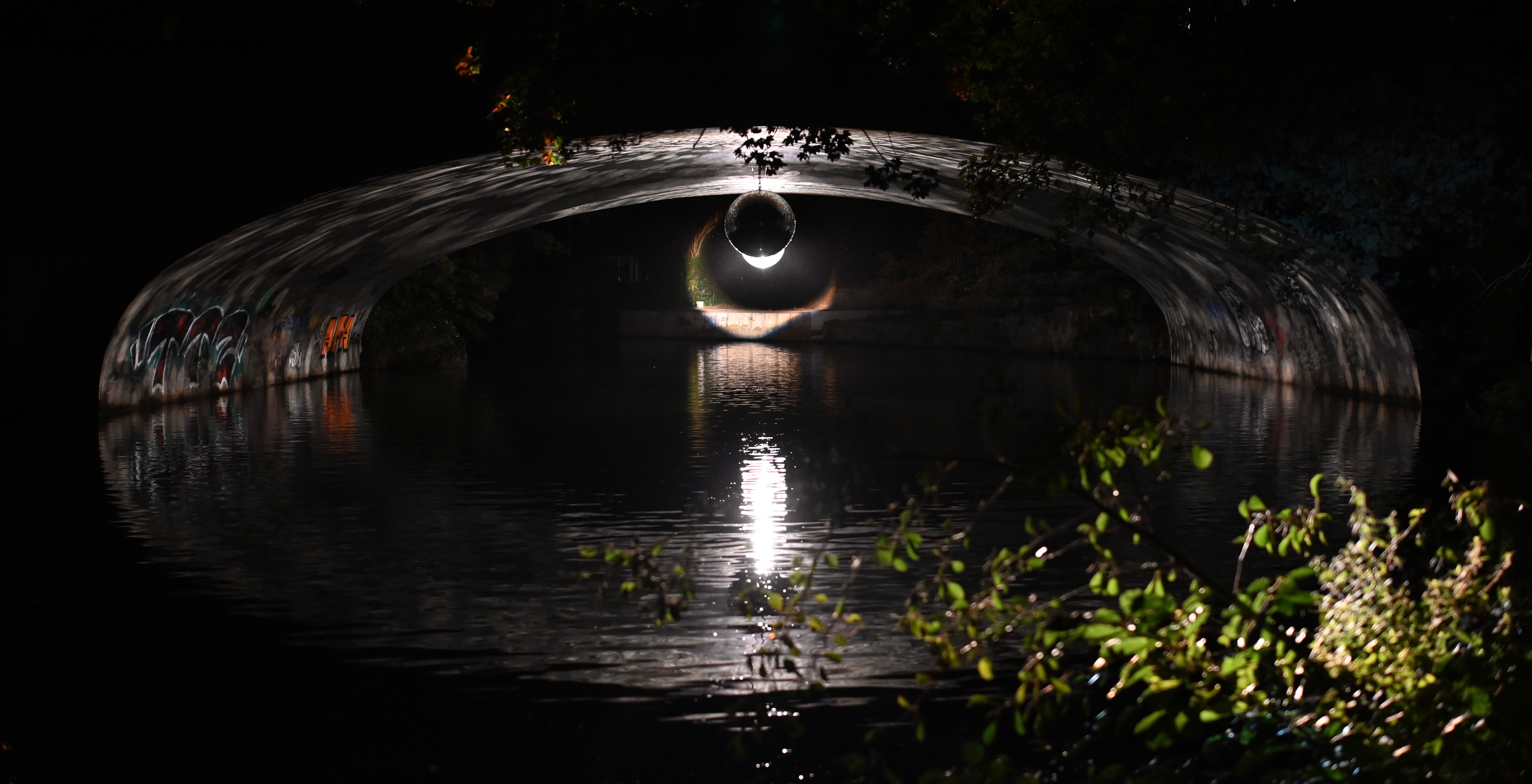 user avatar image for Clem C. Schermann