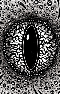 Reach $18,500 to receive an 11x17" poster of the Eye of Bobugbubilz!