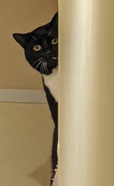 Support our own Fey Friends - Upvote Prue!