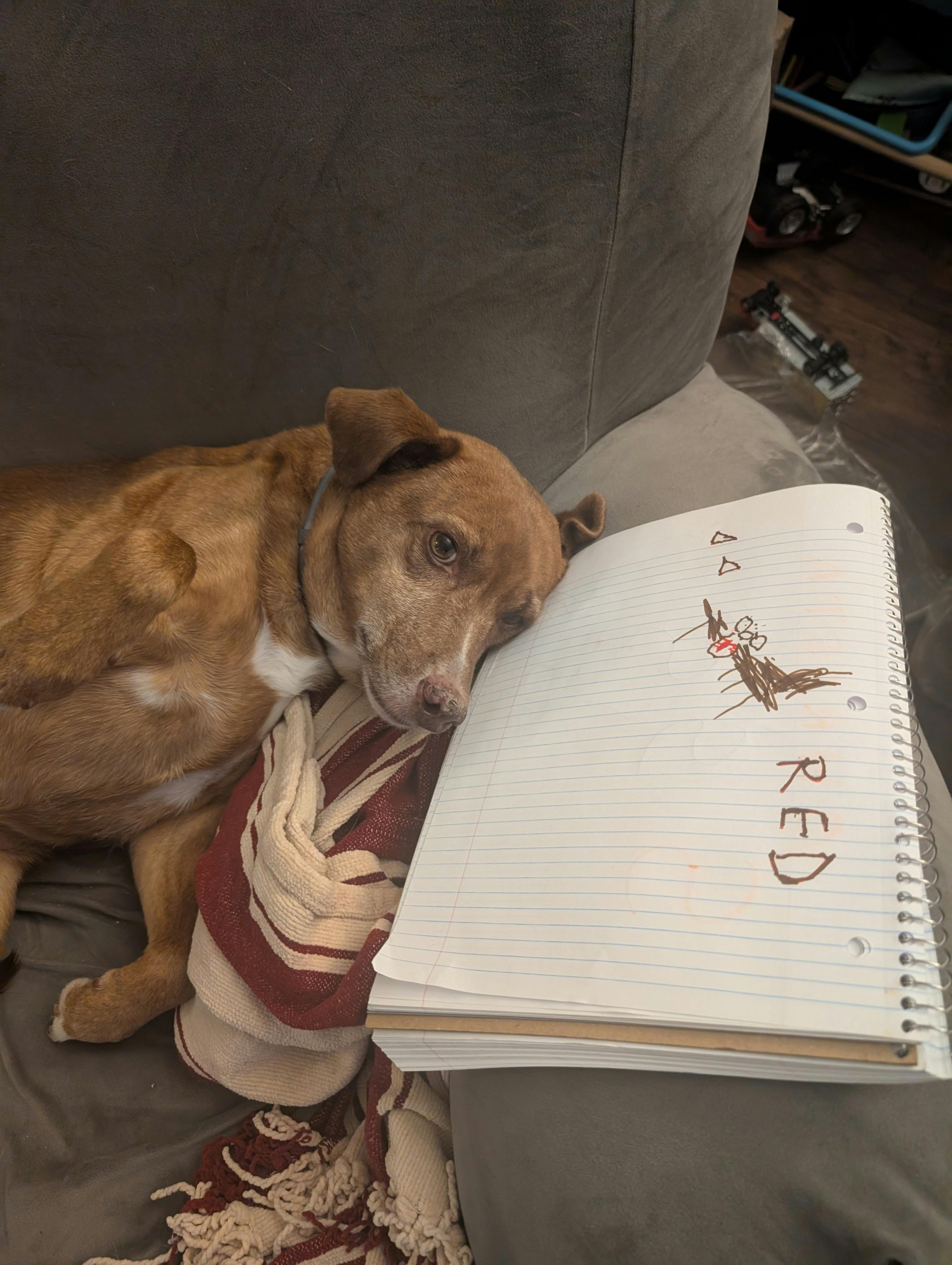 user avatar image for Mitchy